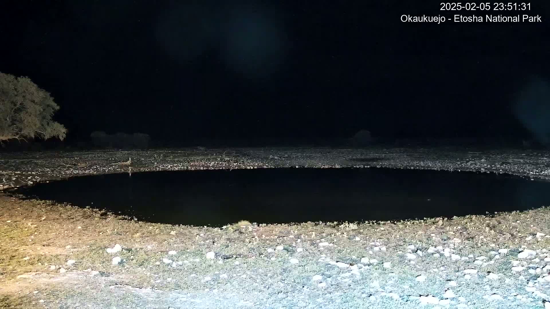 A dark, still body of water sits in a rocky, sparsely vegetated area at night.