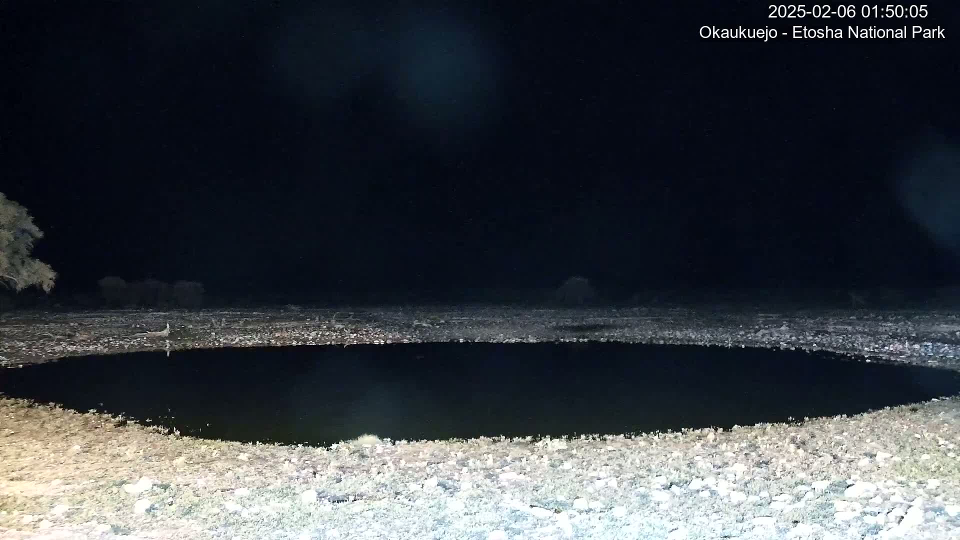 A dark, still body of water is surrounded by light-colored, rocky ground under a clear, starlit night sky.