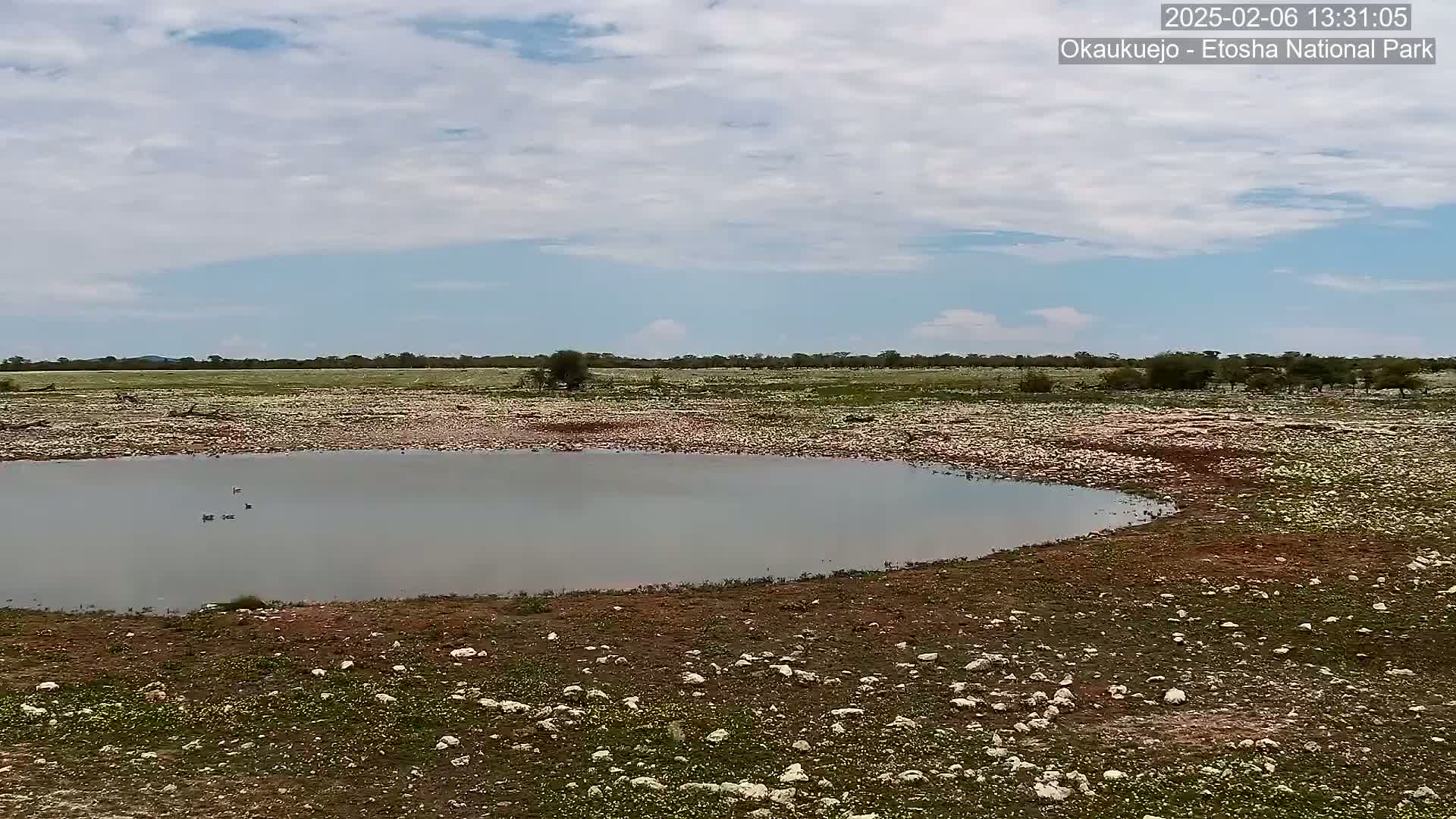 A small, calm body of water sits in a rocky, sparsely vegetated plain under a partly cloudy sky.