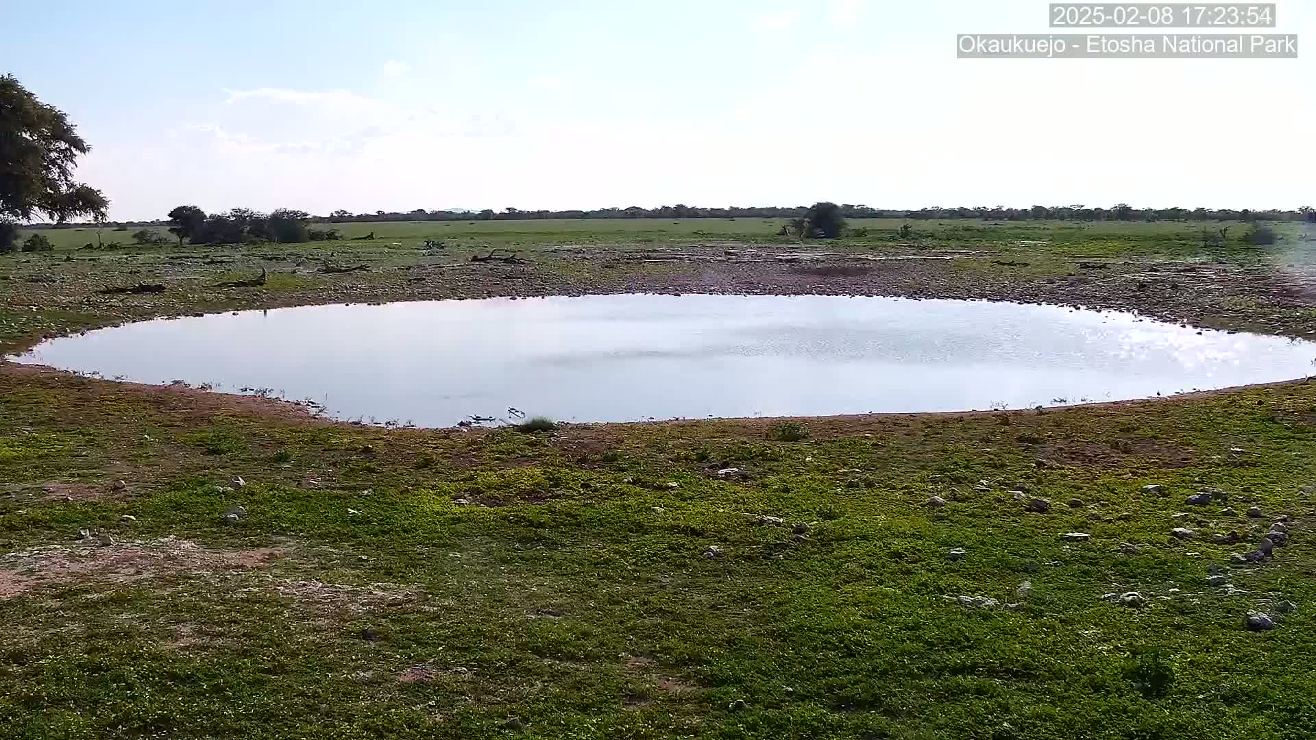 A calm, shallow, circular pond sits in a grassy field under a mostly clear sky.