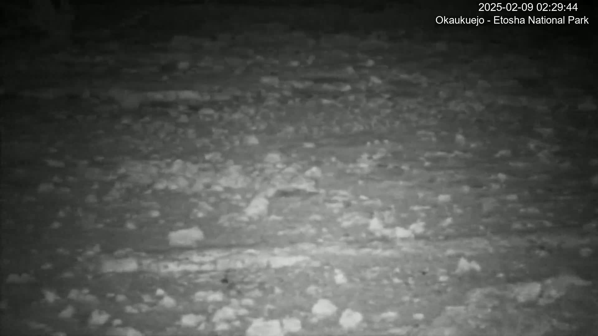A nighttime, grayscale image shows a rocky, uneven terrain.