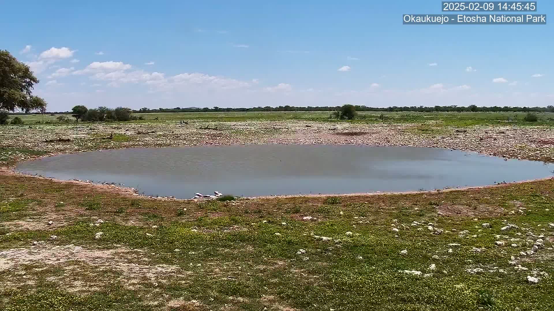 A shallow, kidney-shaped pond sits in a rocky, sparsely vegetated landscape under a mostly sunny sky.