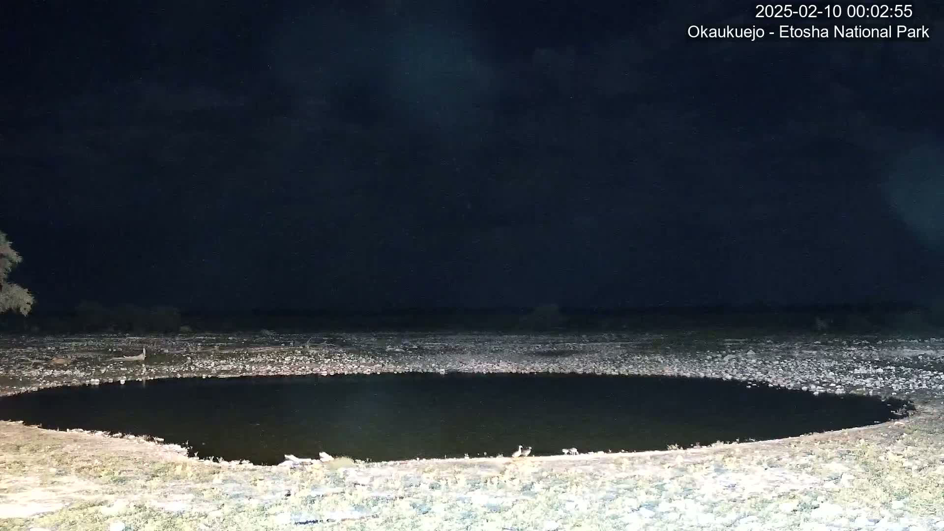 A dark, still body of water sits in a rocky, flat expanse under a night sky with a mostly cloudy cover.