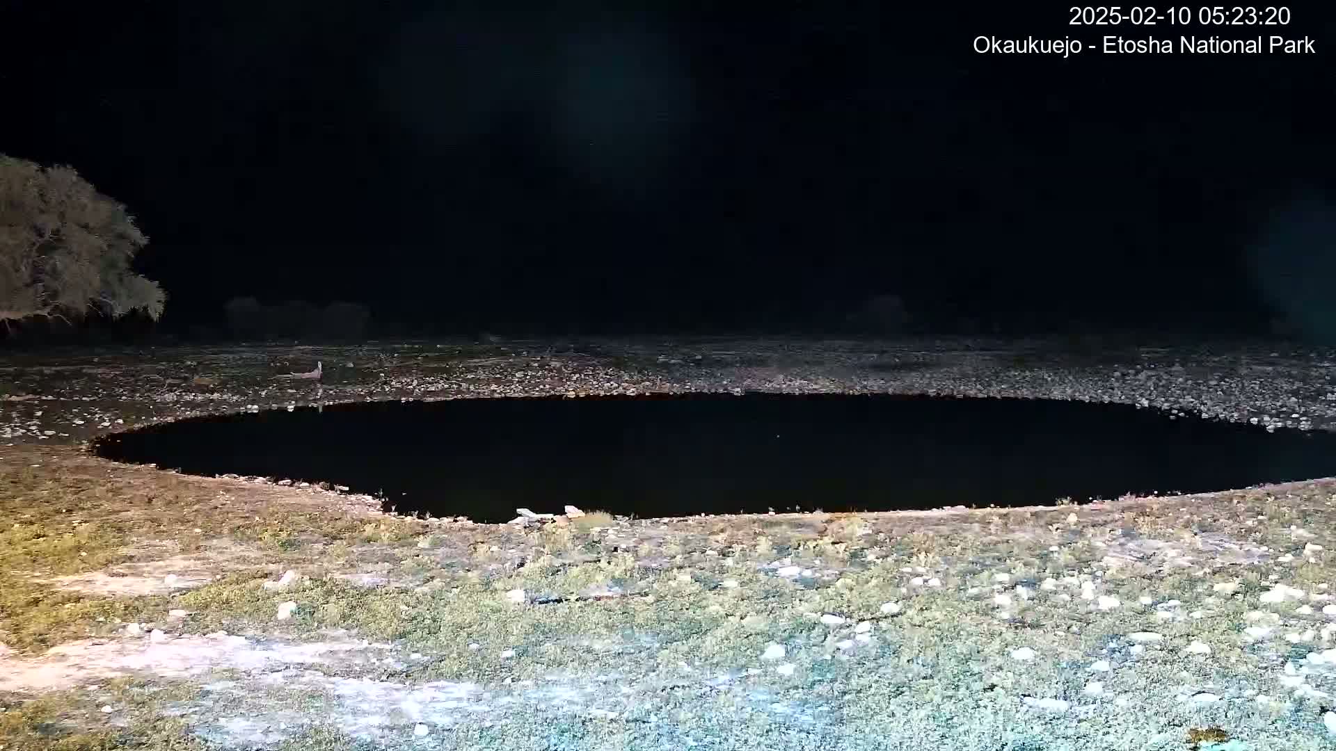 A dark, still body of water is surrounded by sparse, rocky vegetation under a nighttime sky.