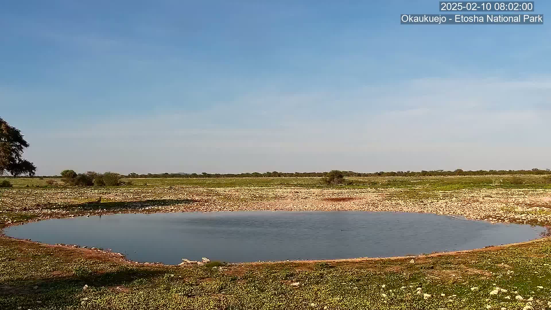 A small, oval-shaped body of calm water sits in a flat, rocky landscape under a clear blue sky.