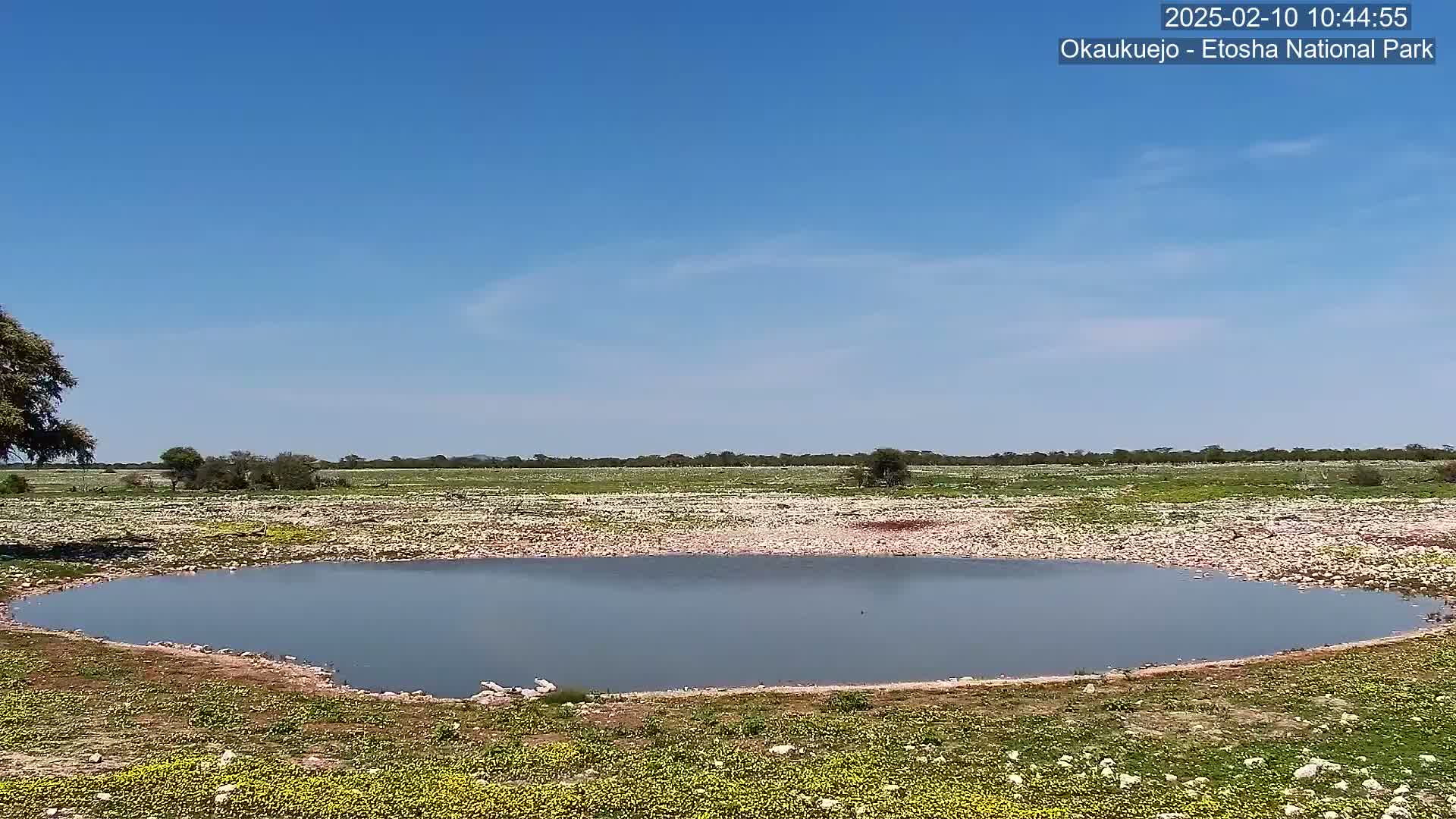 A small, calm body of water sits in a rocky, grassy expanse under a clear blue sky.