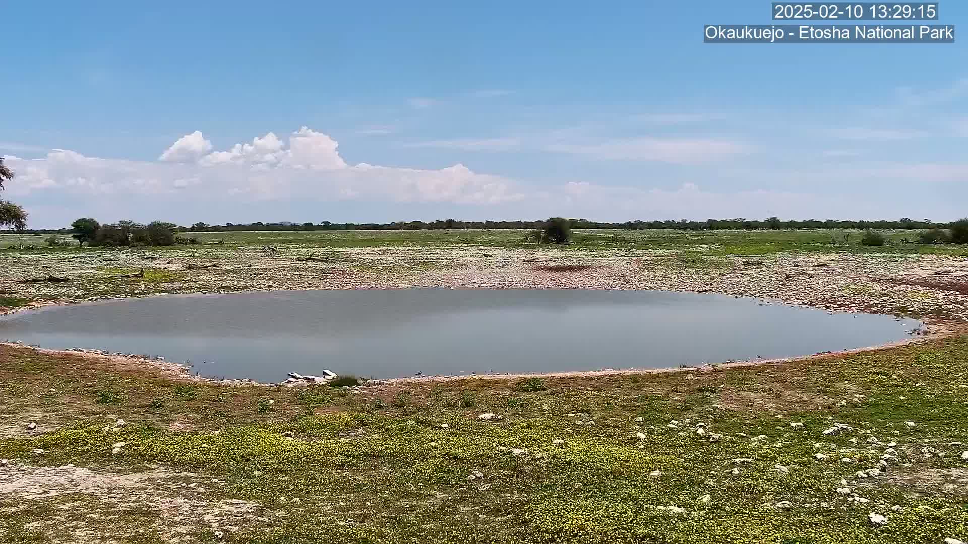A calm, shallow body of water sits in a flat, sparsely vegetated landscape under a partly cloudy blue sky.