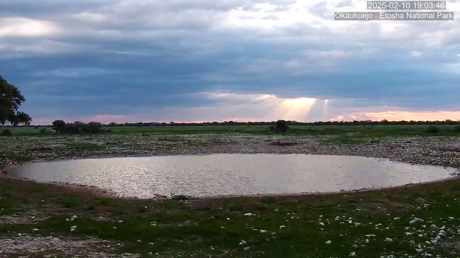 A calm, shallow pool of water sits in a grassy field under a partly cloudy sky, with sunbeams breaking through the clouds at sunset.
