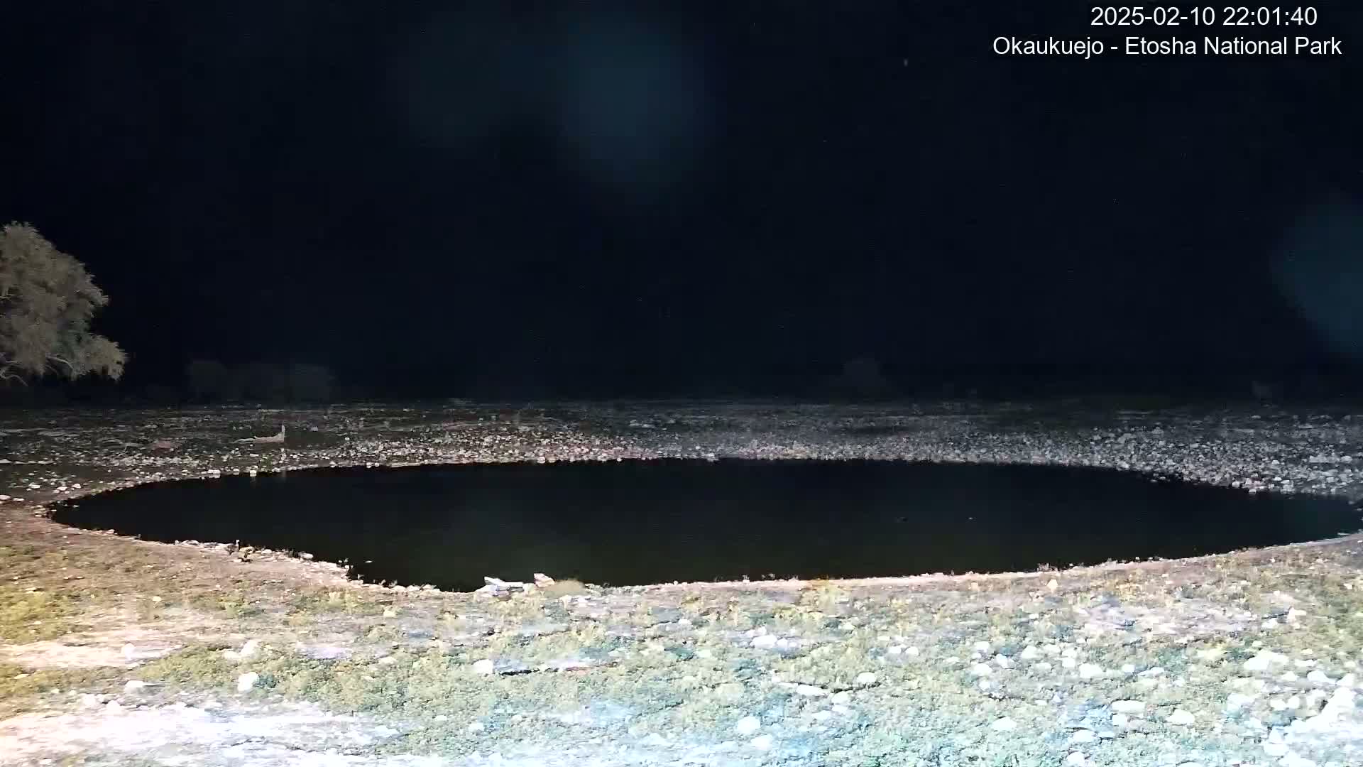 A dark, circular waterhole sits in a rocky, sparsely vegetated area at night.
