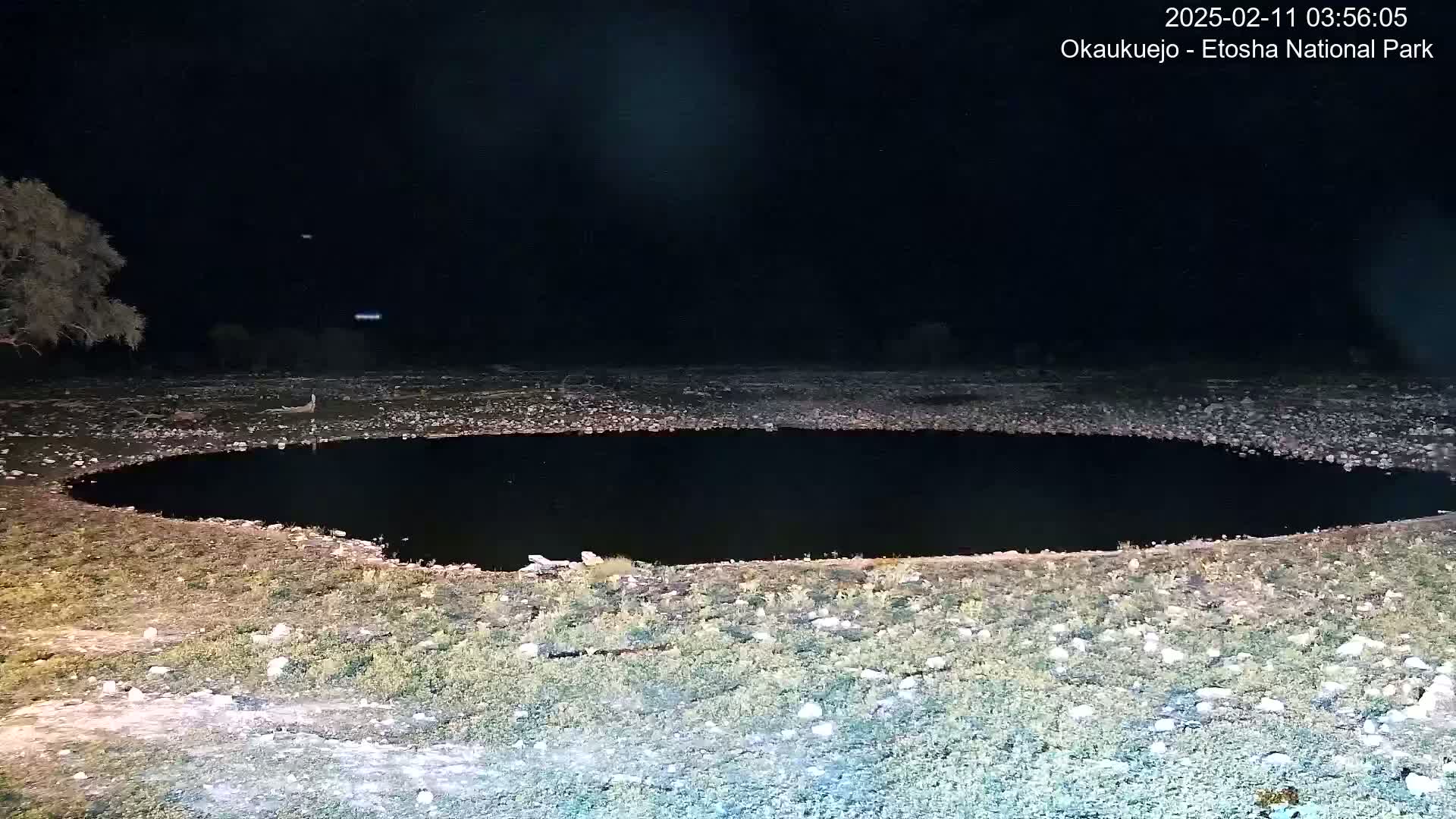 Under a dark night sky, a small, dark body of water is surrounded by sparse, rocky vegetation.