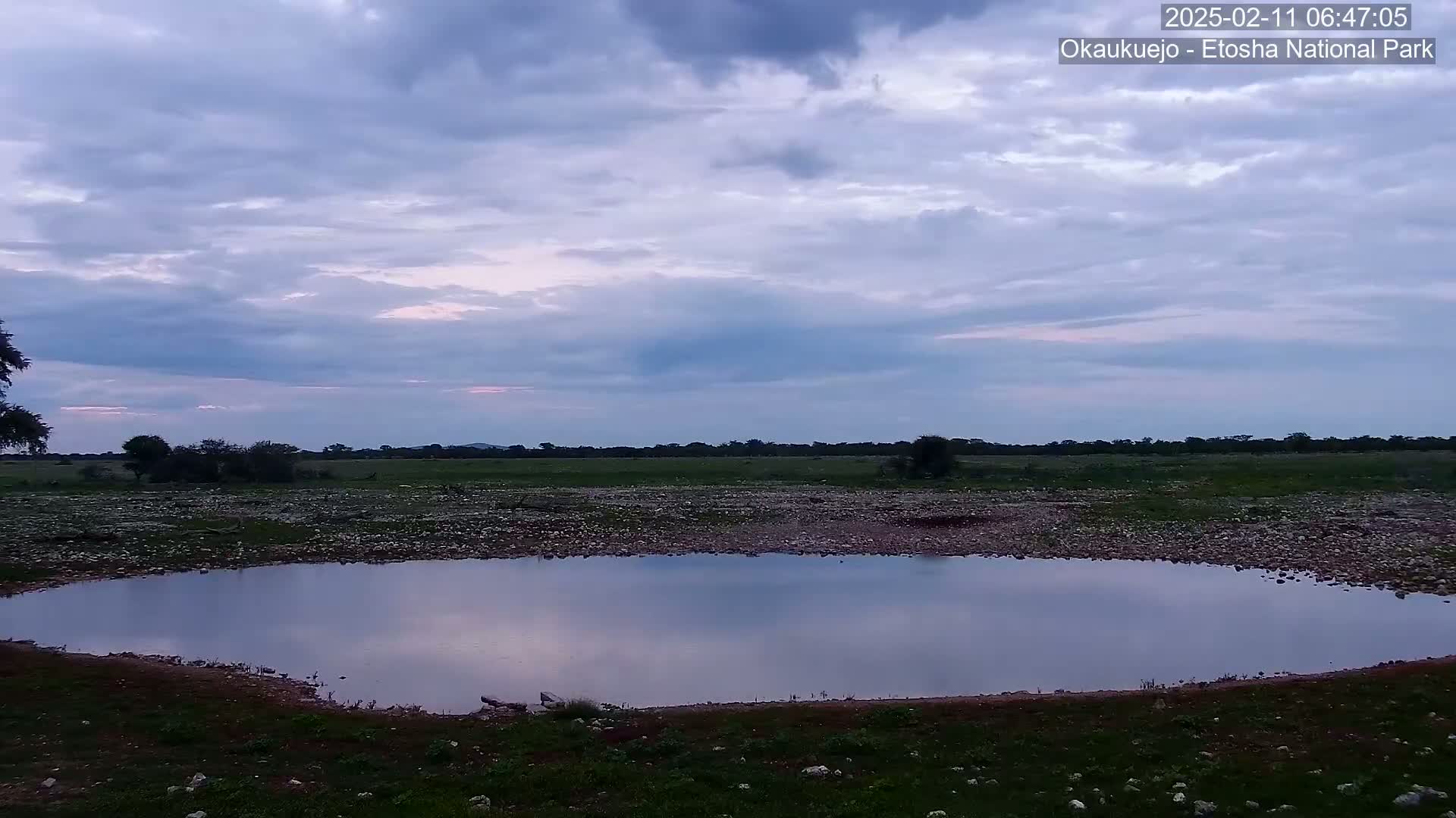 A calm, still waterhole reflects a pale, cloudy twilight sky over a flat, grassy plain.