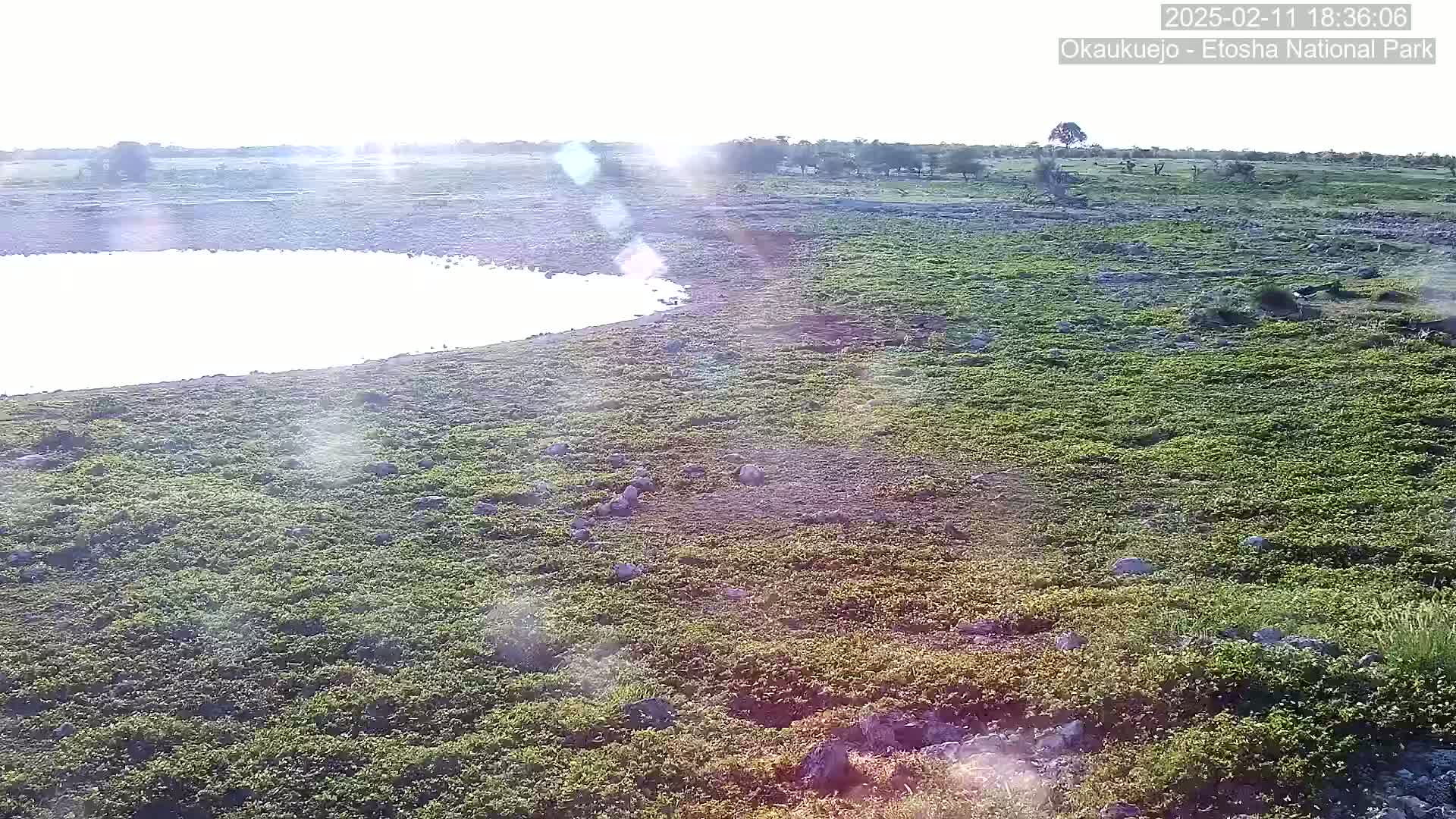 A sunlit, flat landscape with sparse vegetation and a small body of water is visible, under bright, possibly hazy conditions.