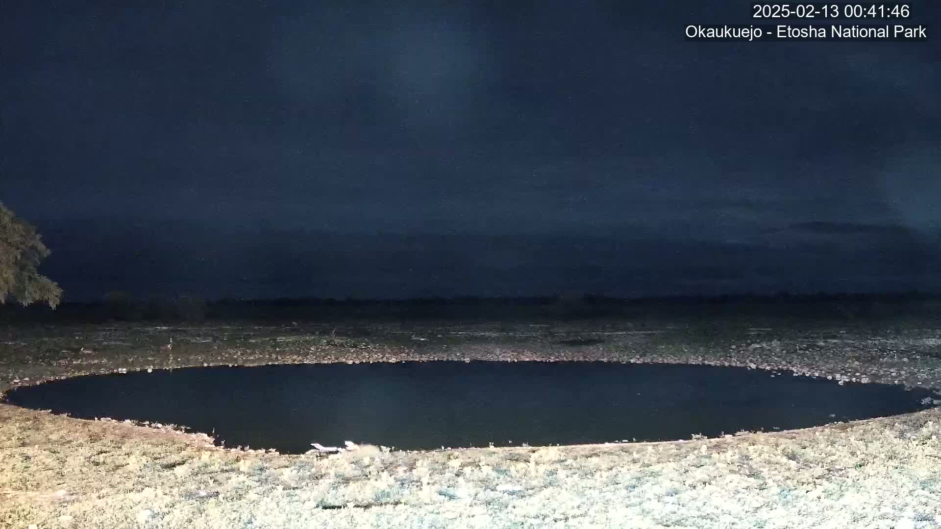 A dark, nighttime scene shows a small, oval-shaped body of water surrounded by dry, light-colored land under a mostly clear, dark sky.
