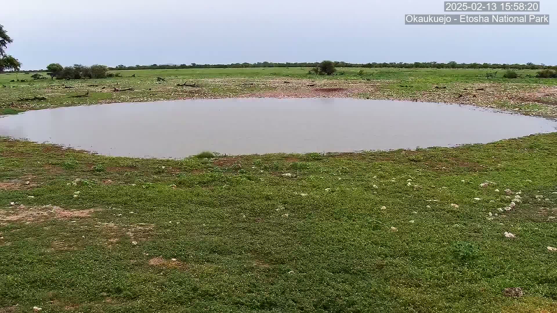 A calm, overcast day reveals a small, still body of water surrounded by sparse, green vegetation in a flat, open landscape.