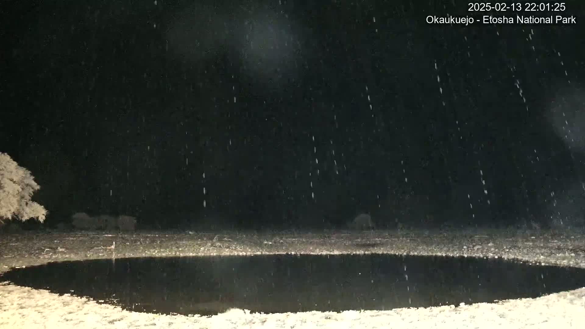 A dark, nighttime scene shows a circular body of water surrounded by lightly snow-covered ground under a falling snow.