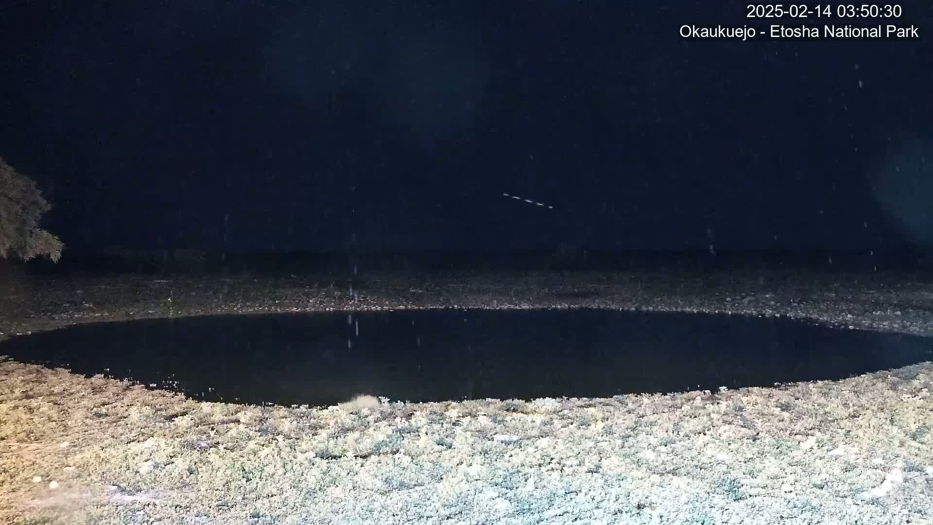 A dark, still body of water is surrounded by light-colored ground cover under a nighttime sky with light rain.