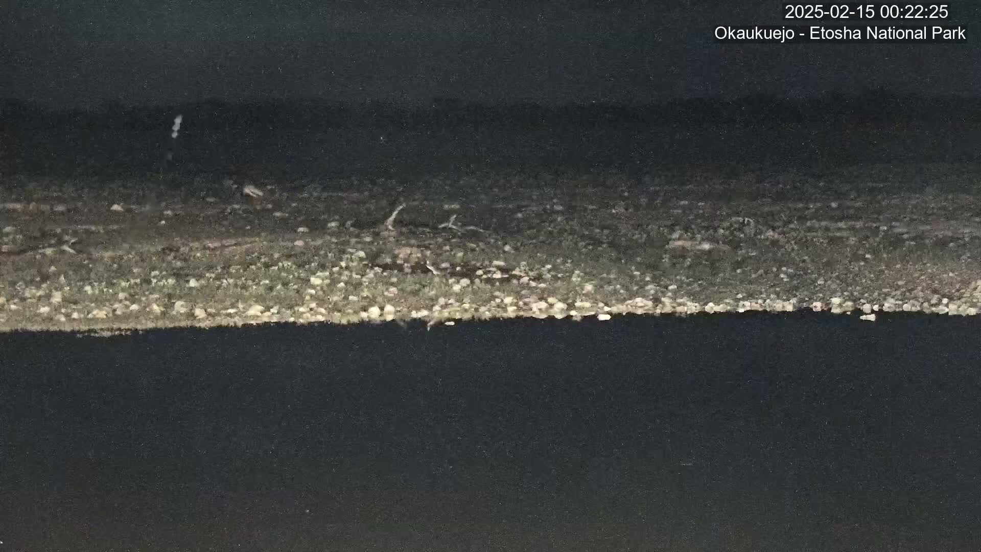 A dark, nighttime landscape shows a light-colored, sparsely vegetated area meeting a dark body of water under a mostly clear sky.
