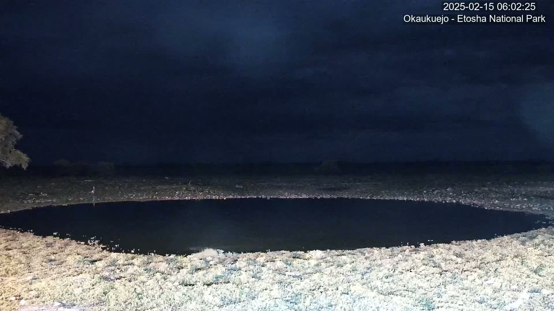 A dark, oval-shaped pond is situated in a flat, sparsely vegetated landscape under a night sky.