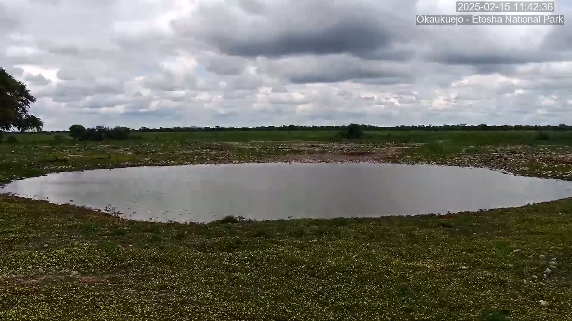 A calm, shallow pool of water sits in a flat, grassy field under a cloudy sky.