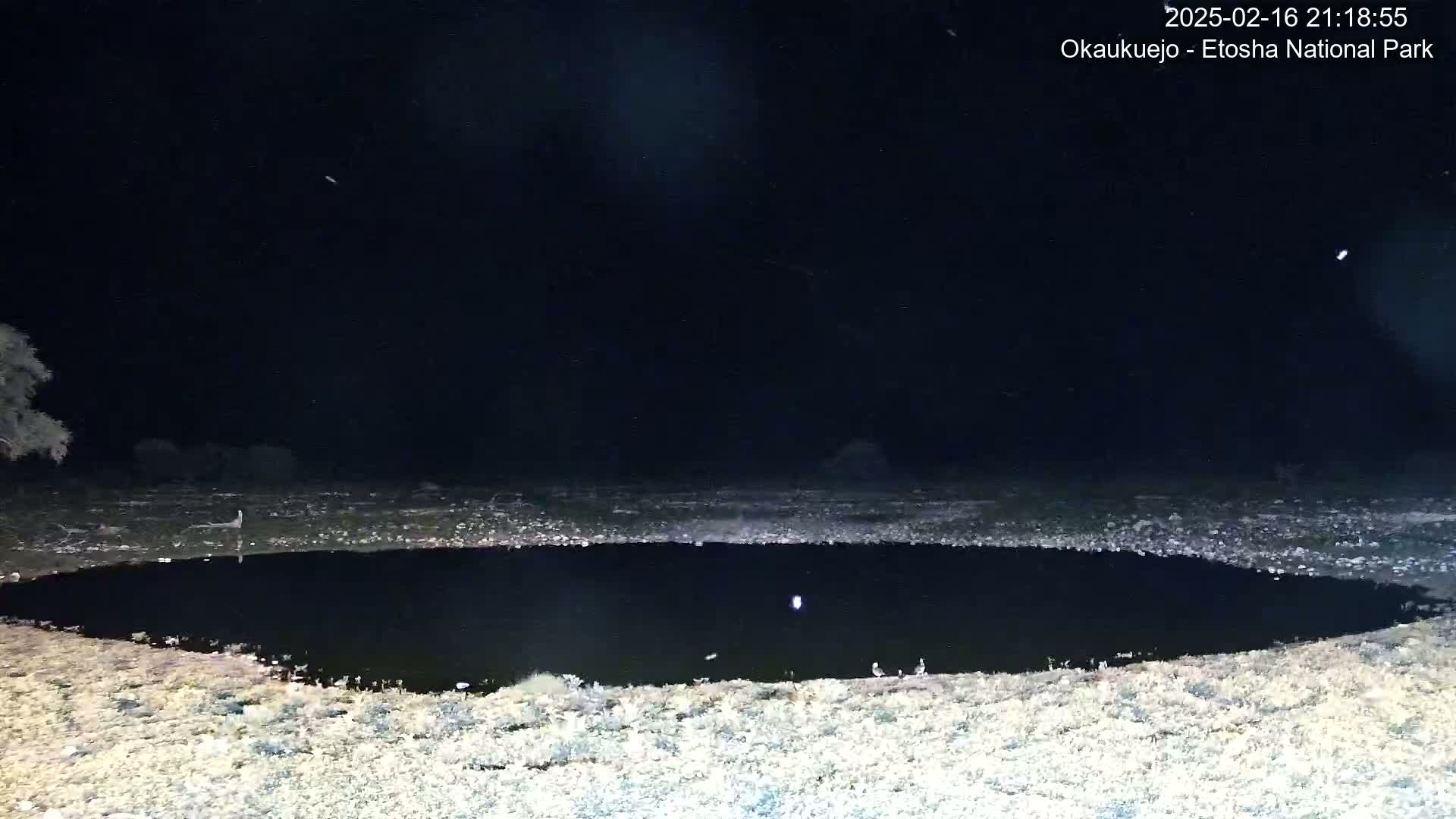 A dark, still body of water is surrounded by light-colored, dry-looking ground under a clear, nighttime sky.