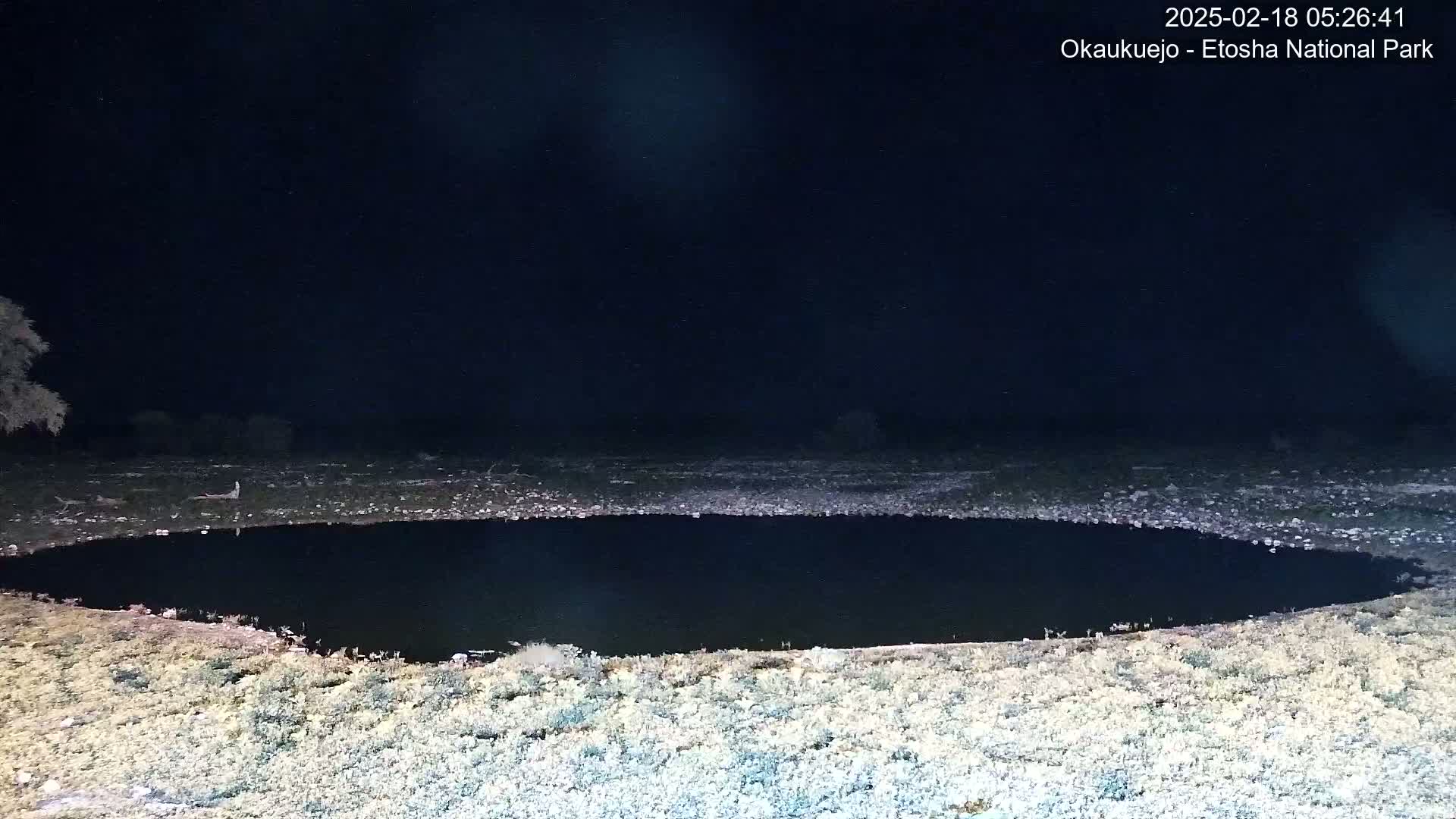 A dark, still body of water is surrounded by light-colored, sparse vegetation under a nighttime sky.