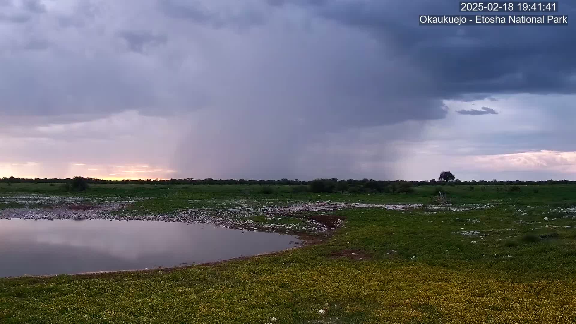 A flat, grassy plain with a small pond reflects the stormy, twilight sky under a heavy downpour.