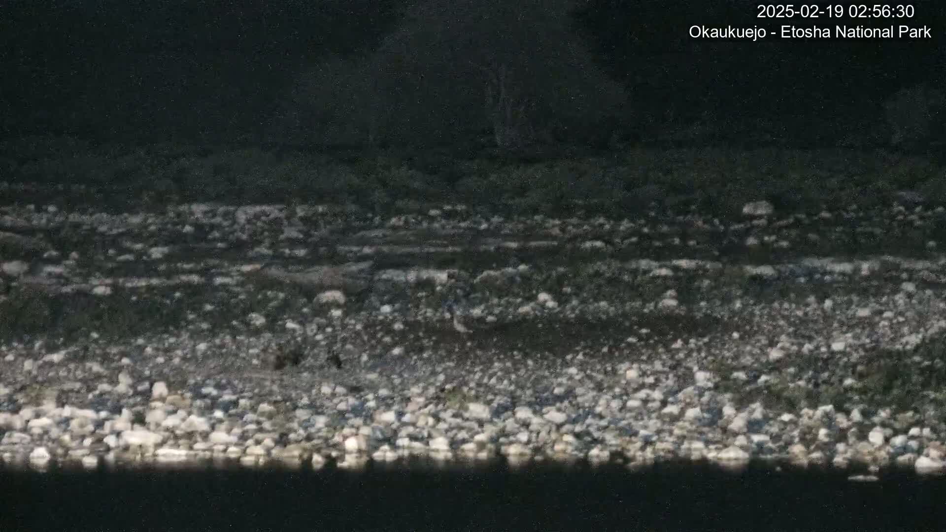 A dark, rocky riverbed is visible at night under a clear sky.