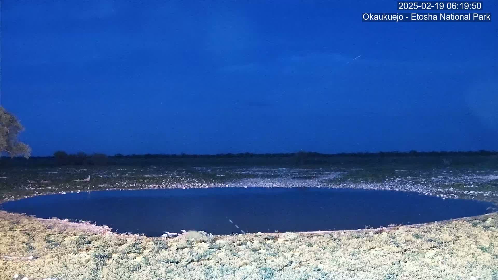 Under a dark blue twilight sky, a small, dark body of water is situated in a flat, sparsely vegetated landscape.