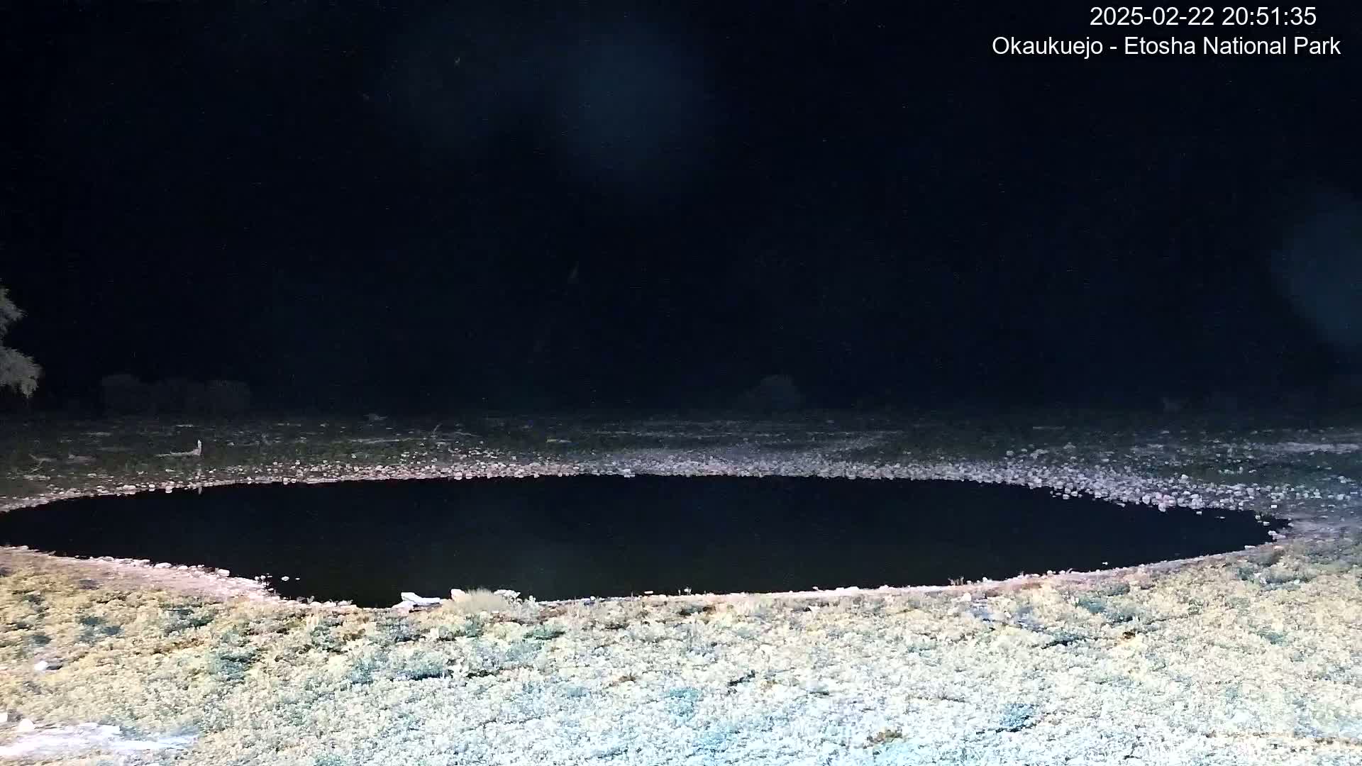 A dark, still body of water is surrounded by light-colored, sparsely vegetated land under a clear night sky.