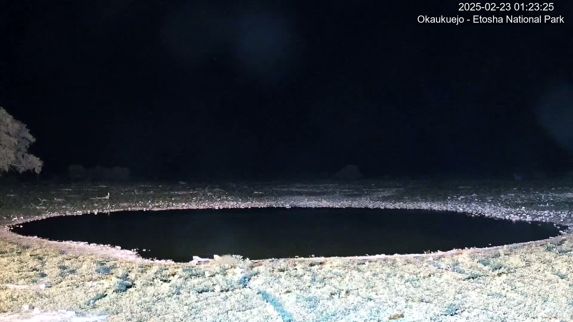 A dark, oval-shaped body of water sits in a sparsely vegetated area at night under a clear, starlit sky.
