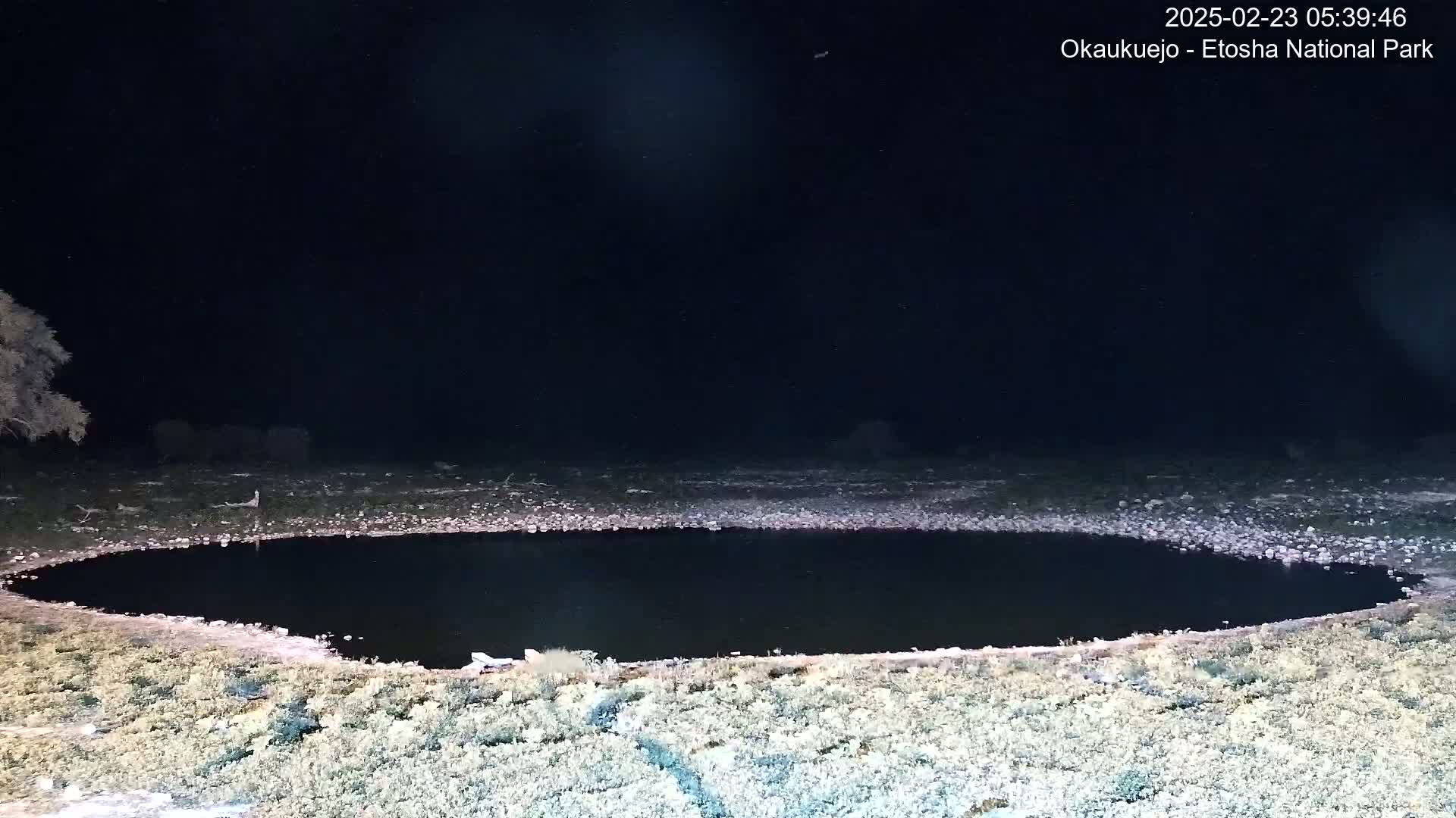 A dark, still body of water sits in a dry, rocky landscape under a clear night sky.