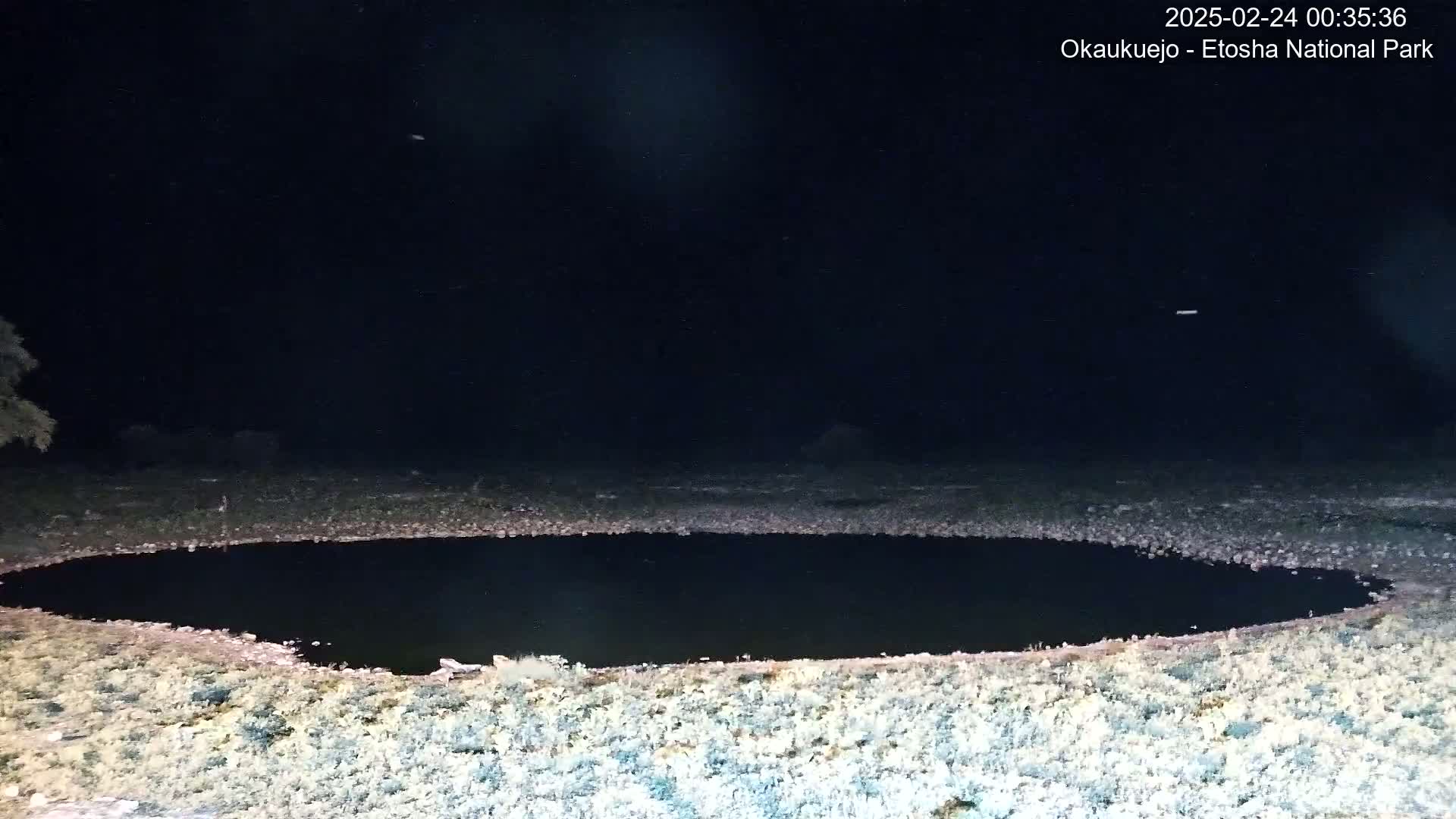 A dark, still body of water is surrounded by light-colored ground under a night sky.