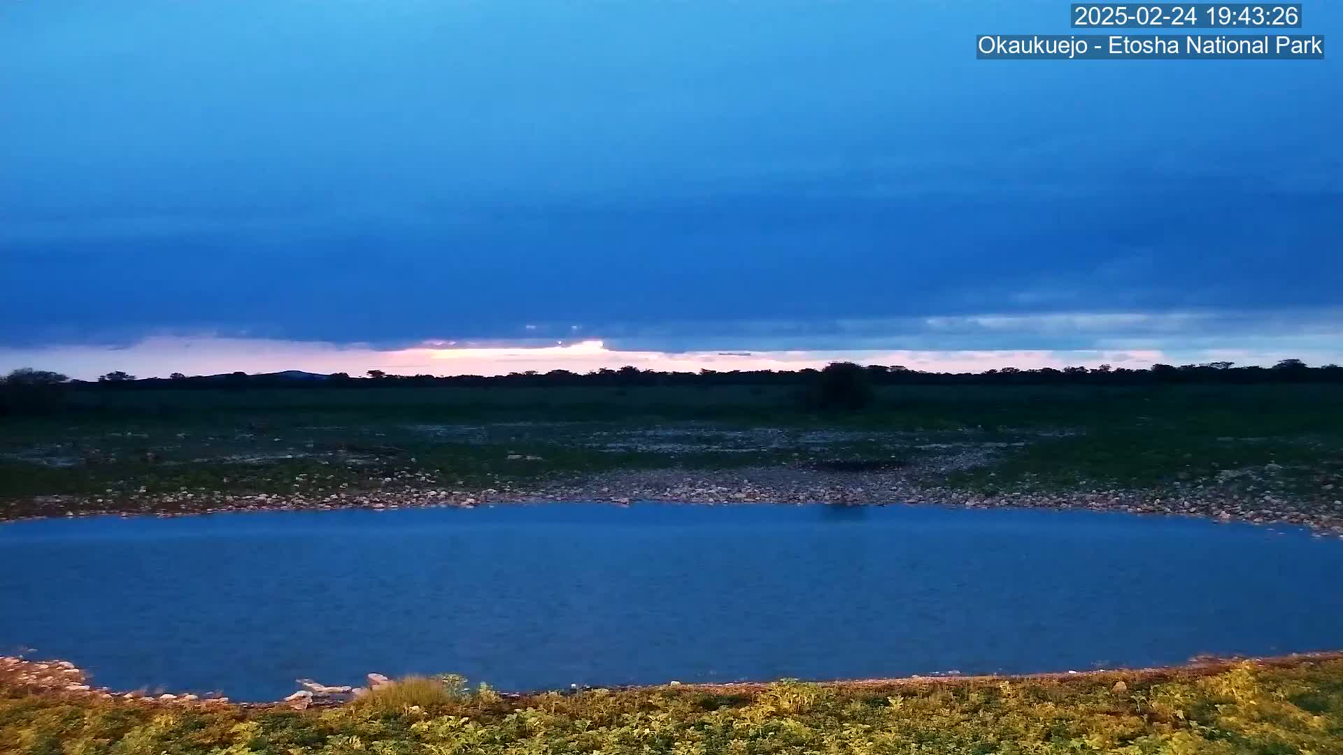 A small, dark blue watering hole sits in a rocky, grassy field under a twilight sky with a layer of dark blue clouds.