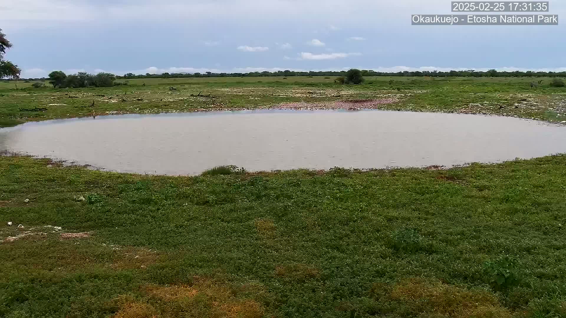 A circular, muddy pond sits in a flat, grassy field under a mostly cloudy sky.