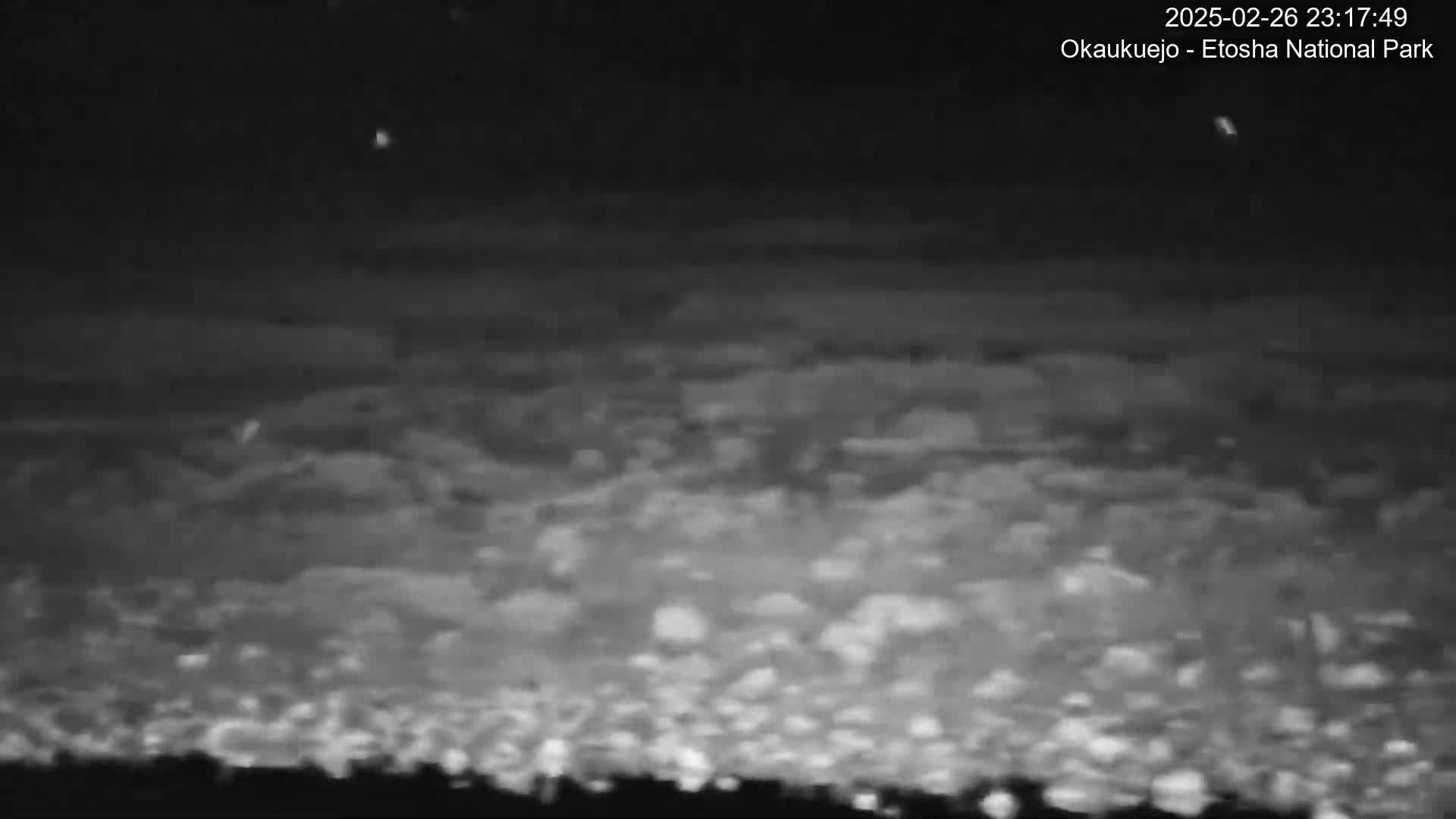 A nighttime, low-light image shows a large expanse of what appears to be low clouds or fog under a dark sky.