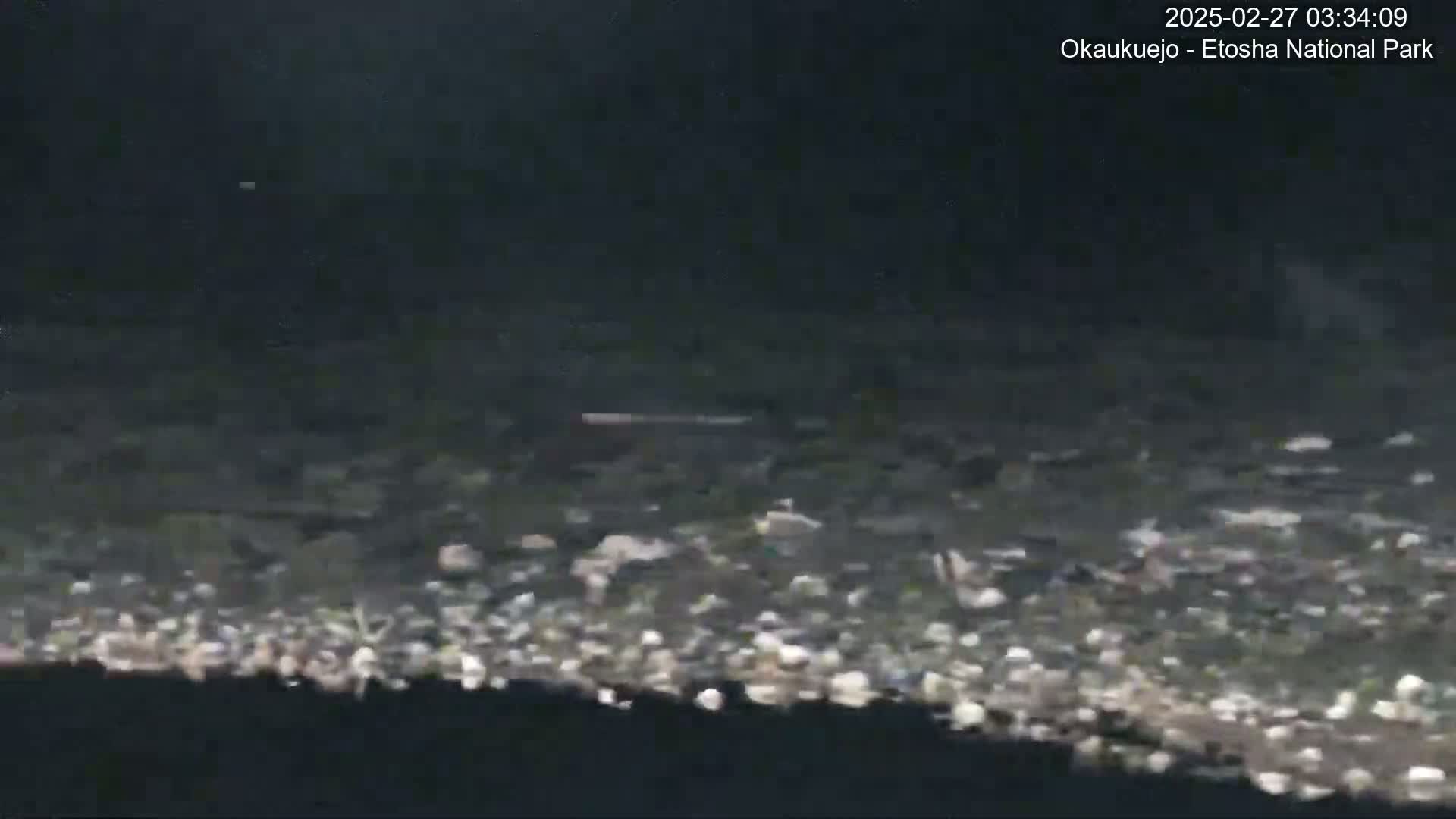 A dark, low-light outdoor scene shows a ground covered in small rocks and pebbles.