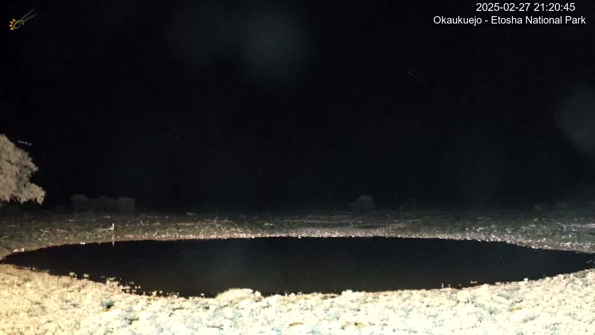 A dark, nighttime scene shows a nearly circular body of still water surrounded by light-colored, dry-looking ground under a star-filled sky.
