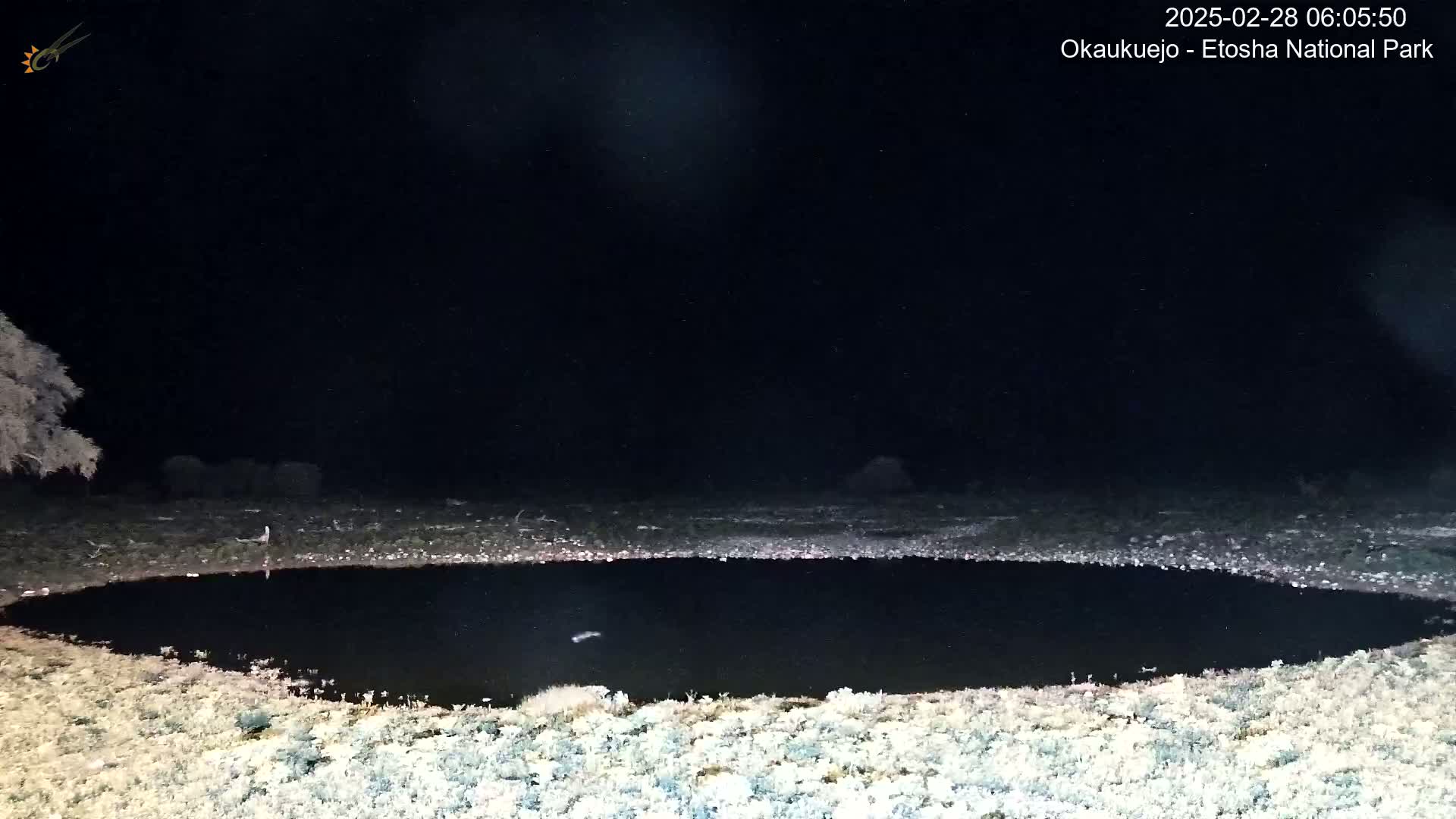 A dark, circular pool of water is surrounded by light-colored, frost-covered ground under a night sky.