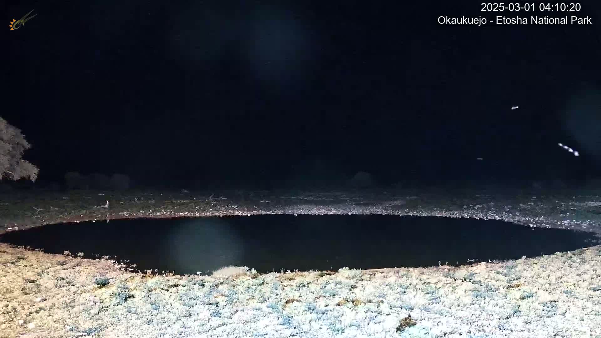A dark, still body of water is surrounded by frost-covered ground under a clear, starlit night sky.