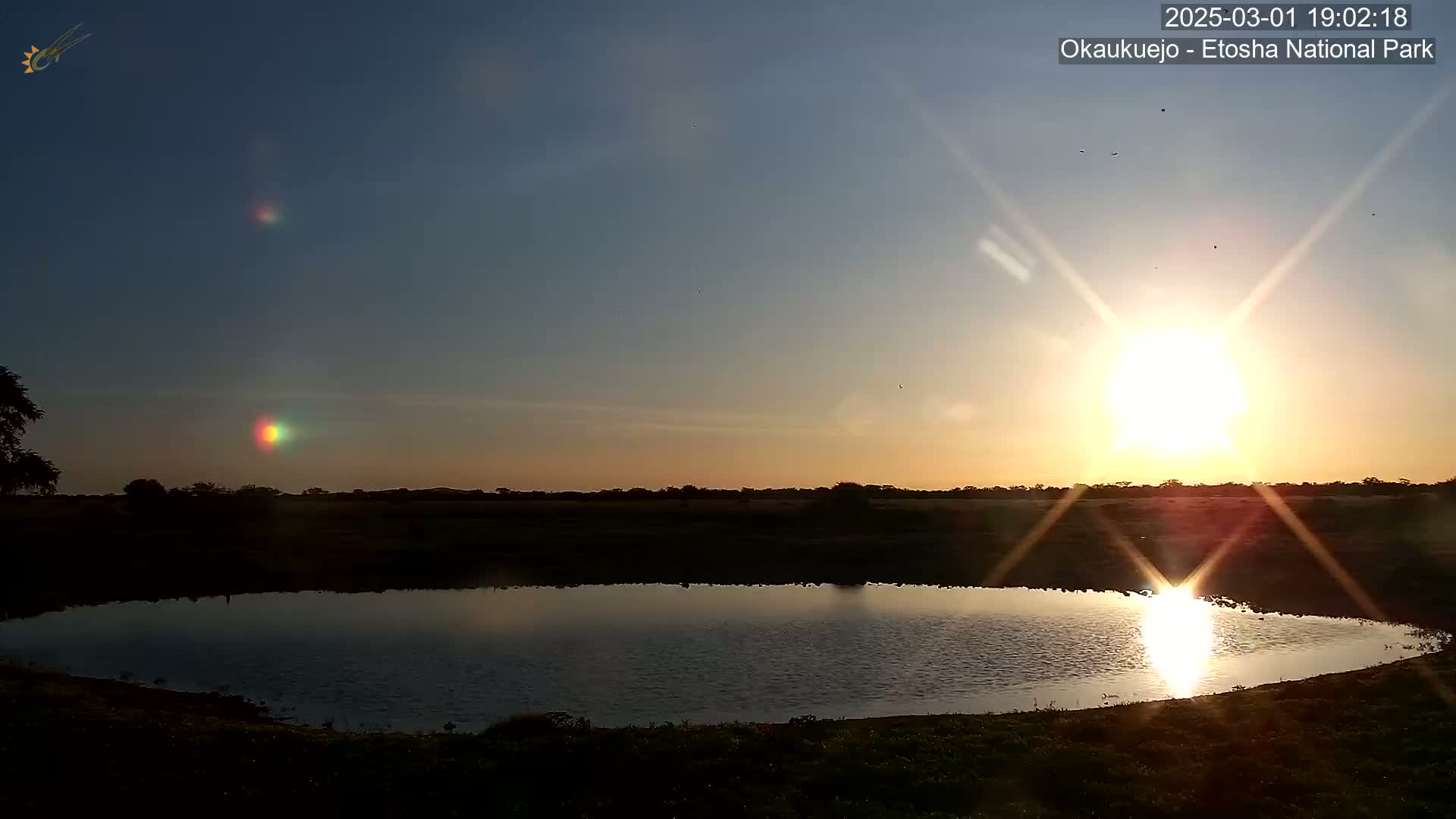 A calm, still pond reflects a bright sunset over a flat expanse of land under a clear sky.