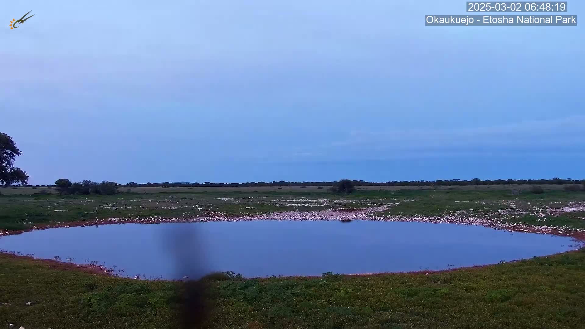 A calm, still waterhole sits in a flat, grassy plain under a twilight sky.