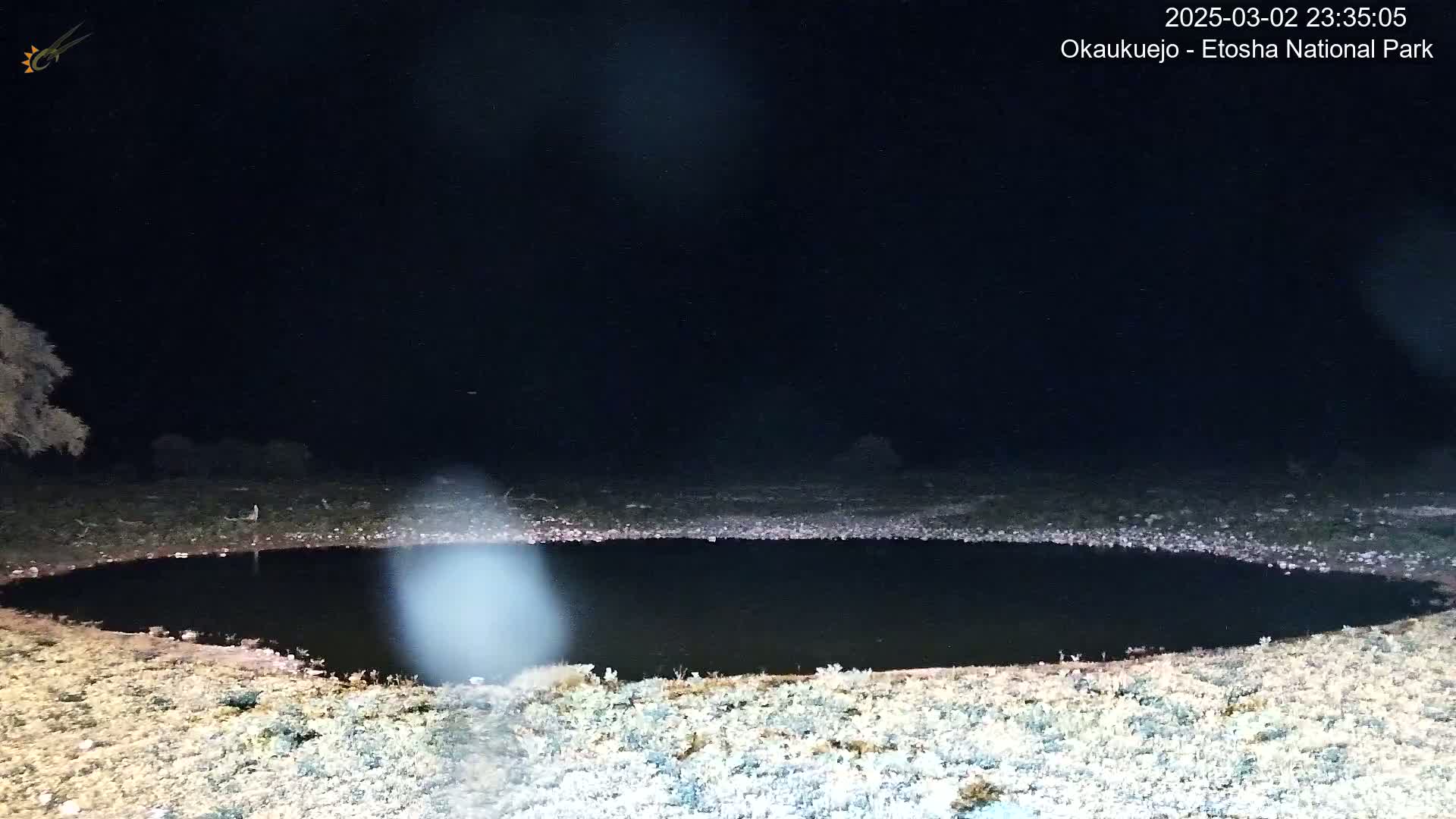A dark, circular body of water is surrounded by light-colored, sparsely vegetated ground under a clear, nighttime sky.