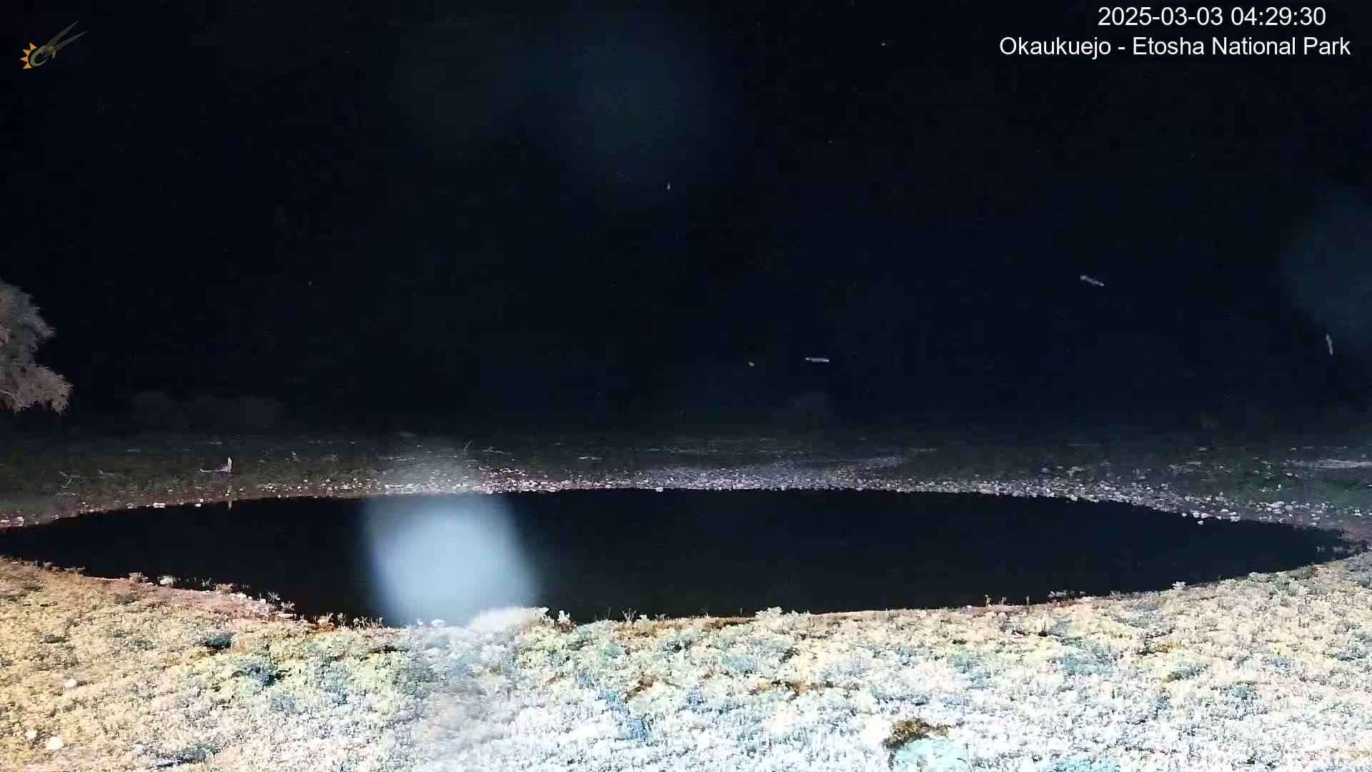 A dark, still body of water is surrounded by sparse, light-colored vegetation under a clear, starlit night sky.