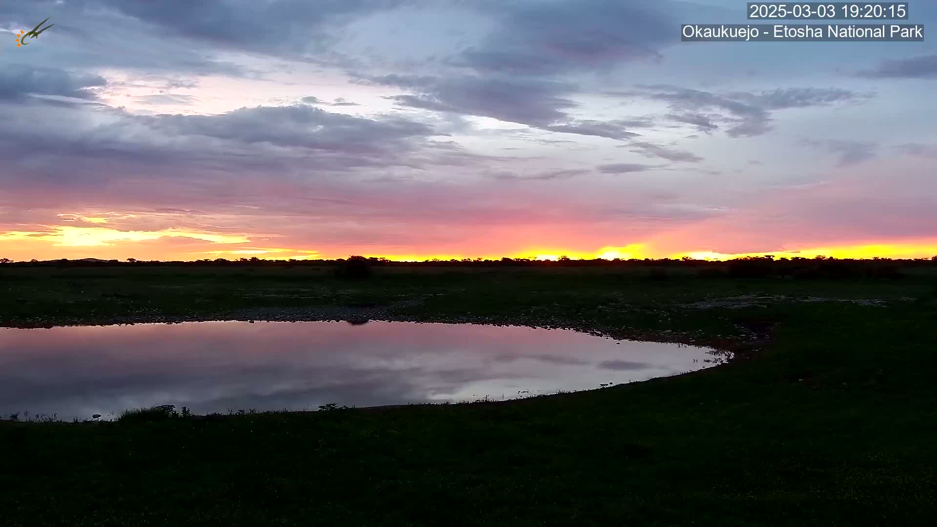 A tranquil sunset paints the sky with vibrant oranges and purples, its reflection shimmering in a still body of water nestled within a grassy plain.