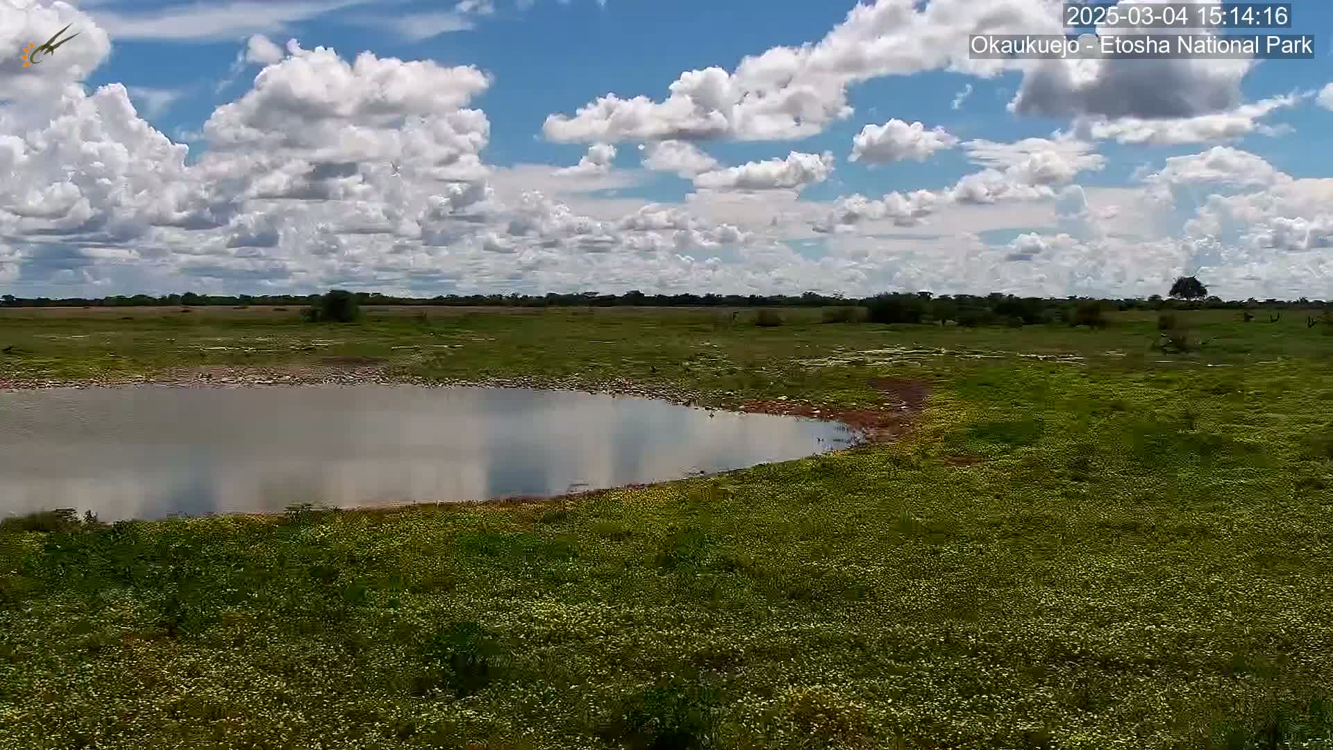 A partly cloudy sky overlooks a flat, grassy plain with a small, still body of water in the foreground.