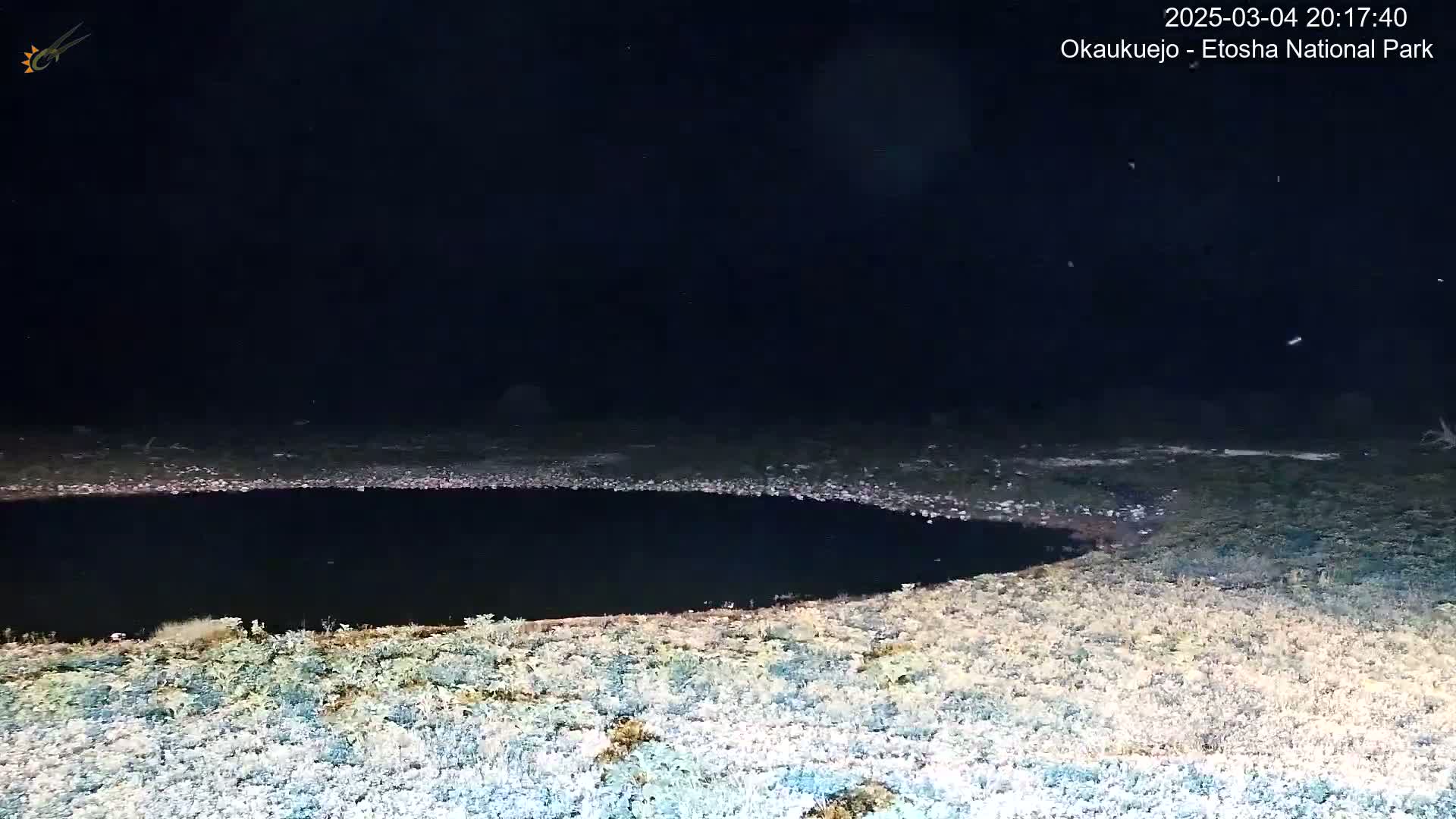 A dark, still body of water is surrounded by light-colored, sparse vegetation under a nighttime sky.