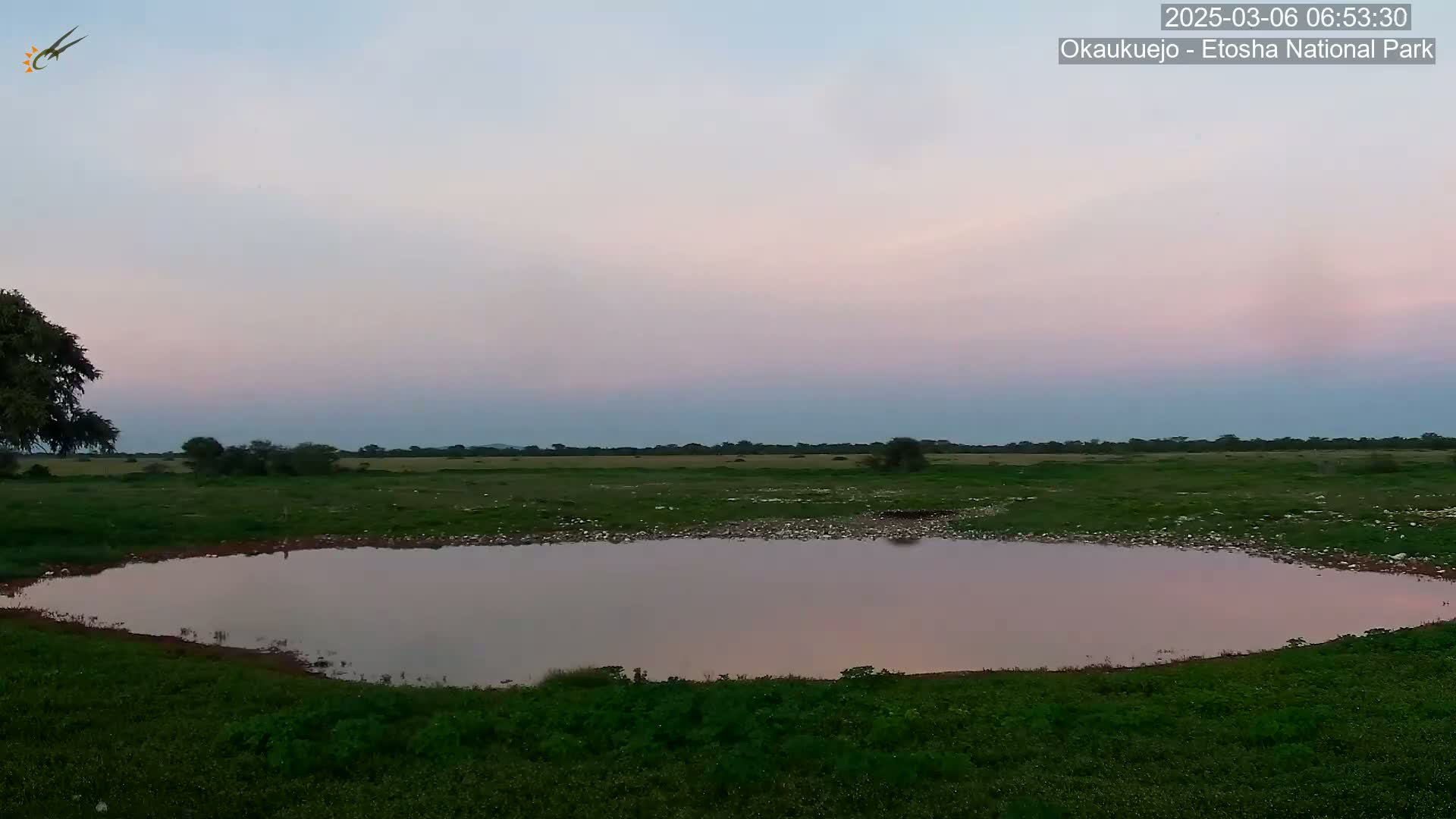 A calm, pinkish-hued twilight sky overlooks a flat, grassy plain containing a small, still body of water.