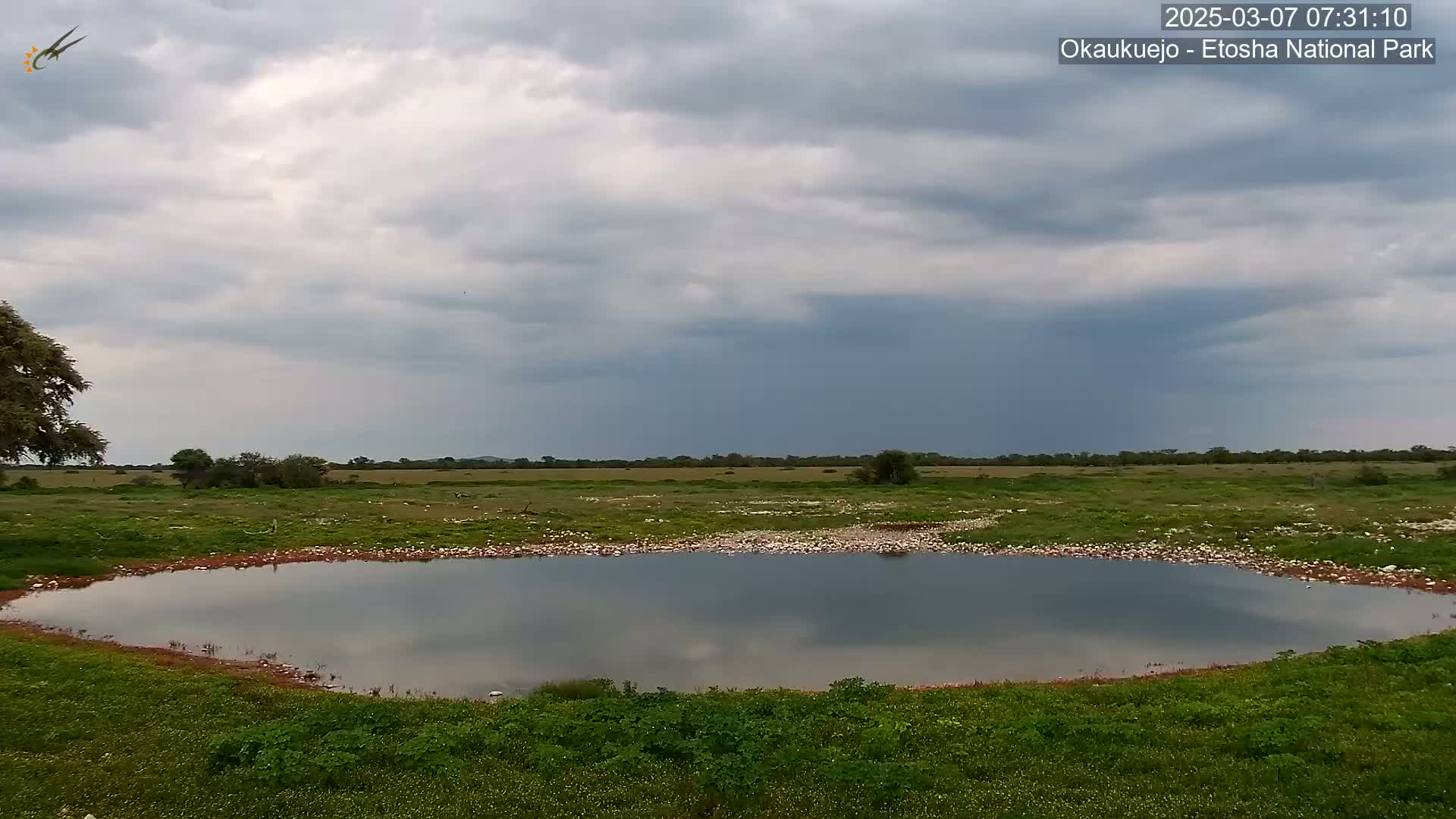 A calm, oval-shaped watering hole sits in a grassy field under a mostly cloudy sky.