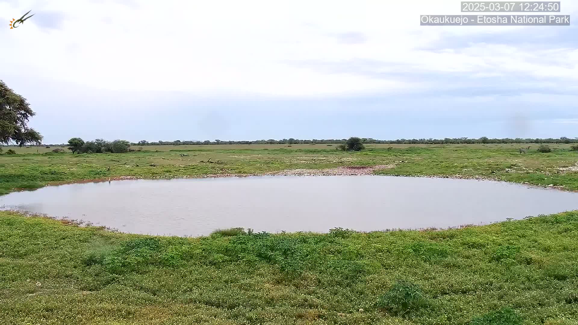 A calm, shallow body of water sits in a grassy field under a mostly cloudy sky.