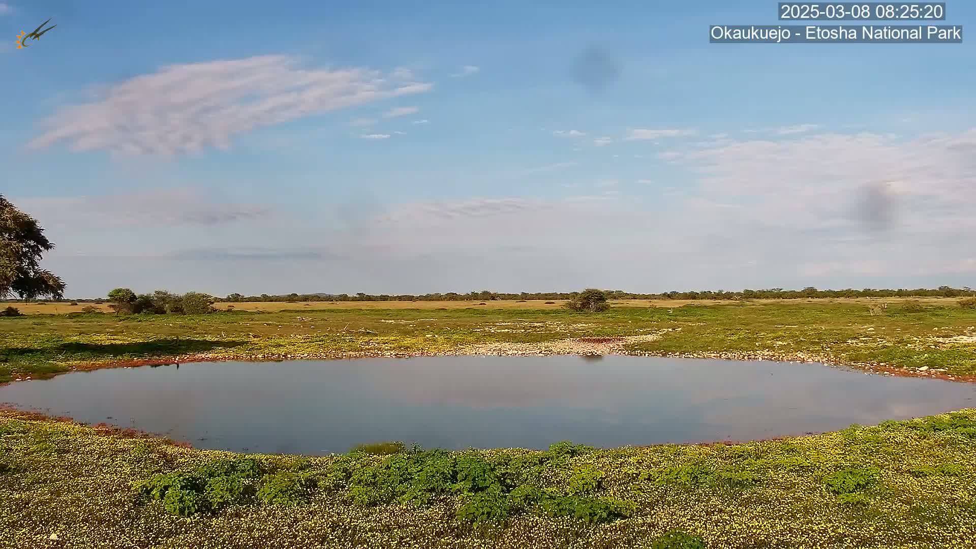 A calm, round pond sits in a grassy field under a mostly clear, blue sky with scattered clouds.